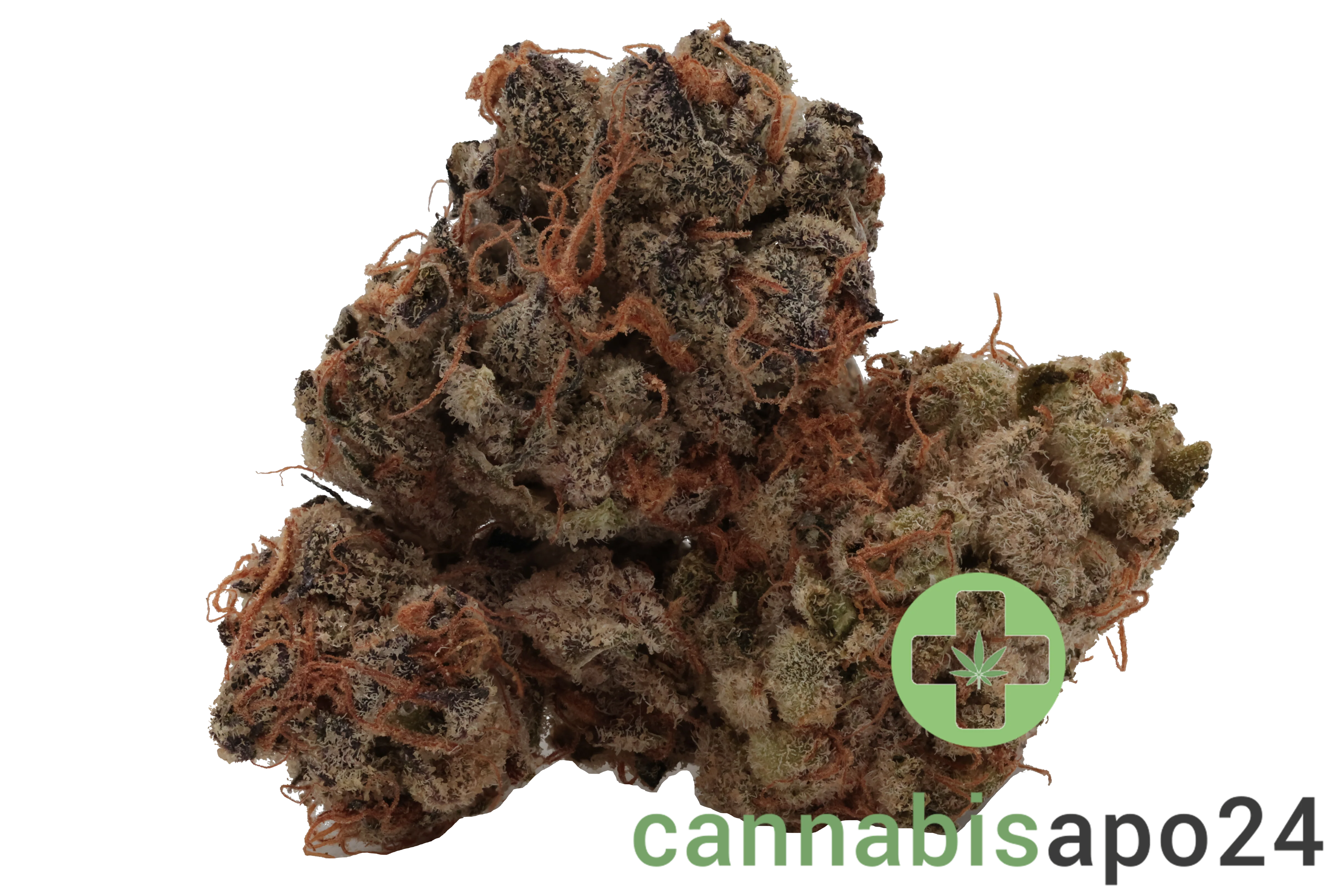 Cookies 22/1 HR Hawaiian Rain