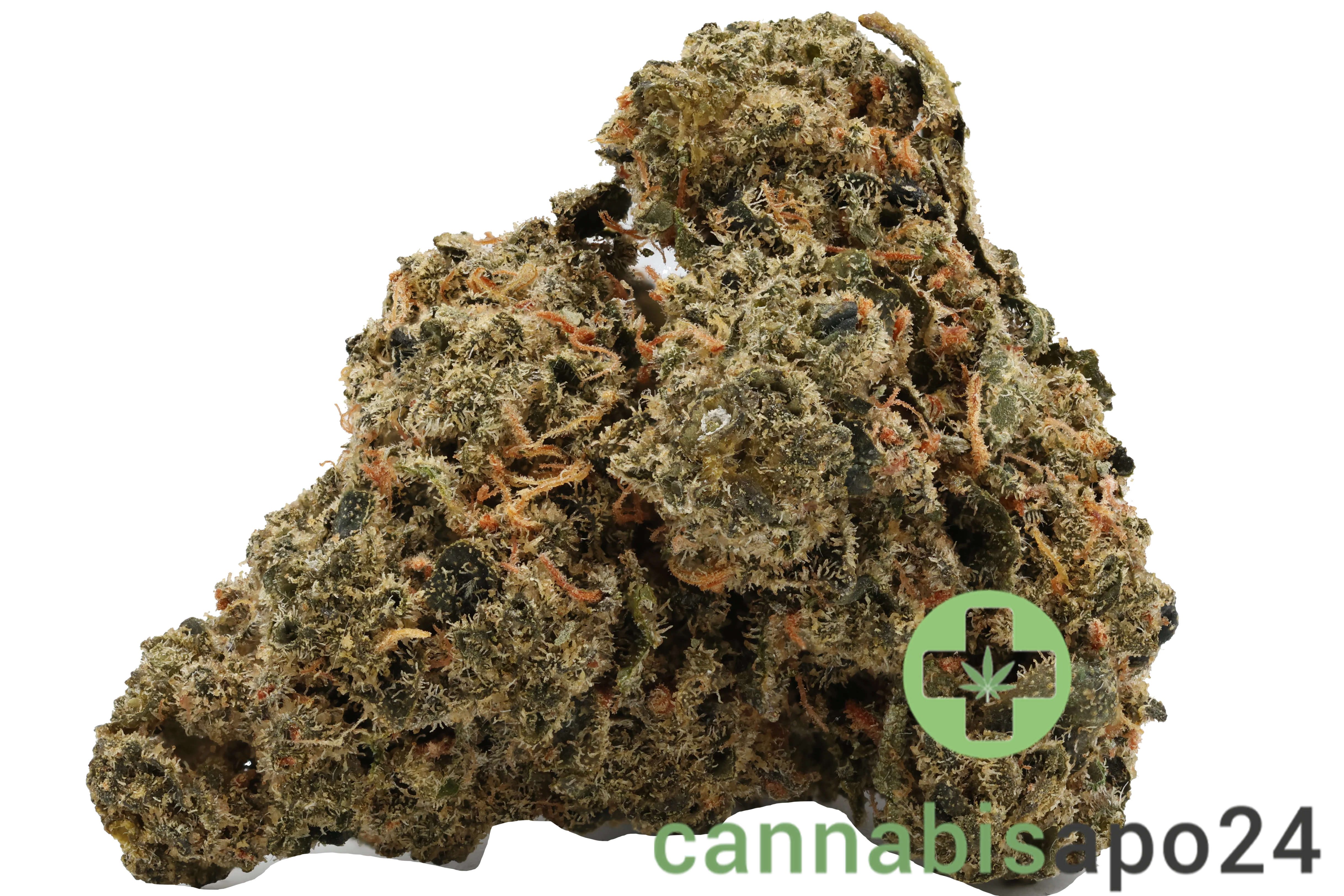 Costa Canna Dynamics - fortissimo