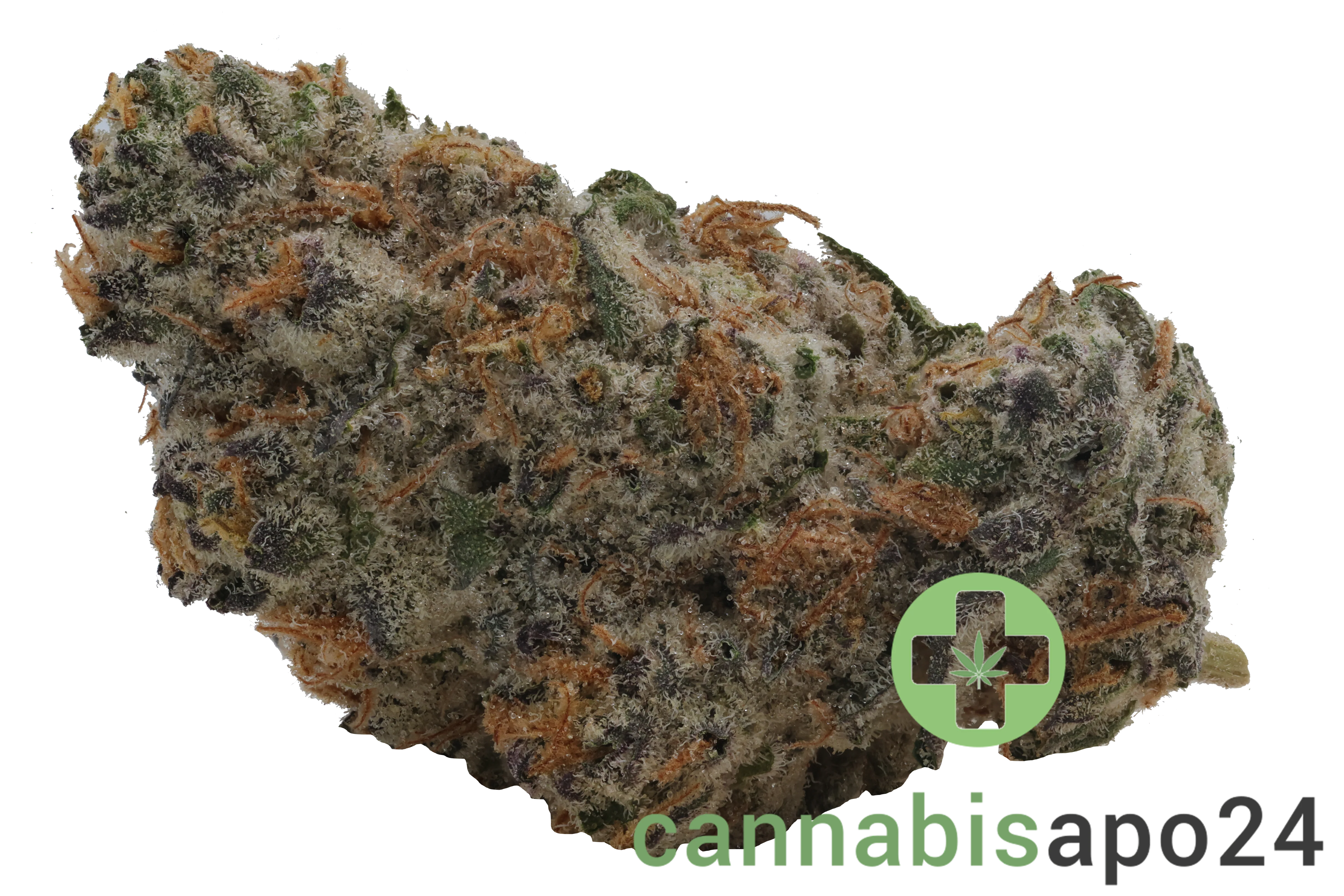 Craft ALOHA 34/1 White Widow x Trainwreck