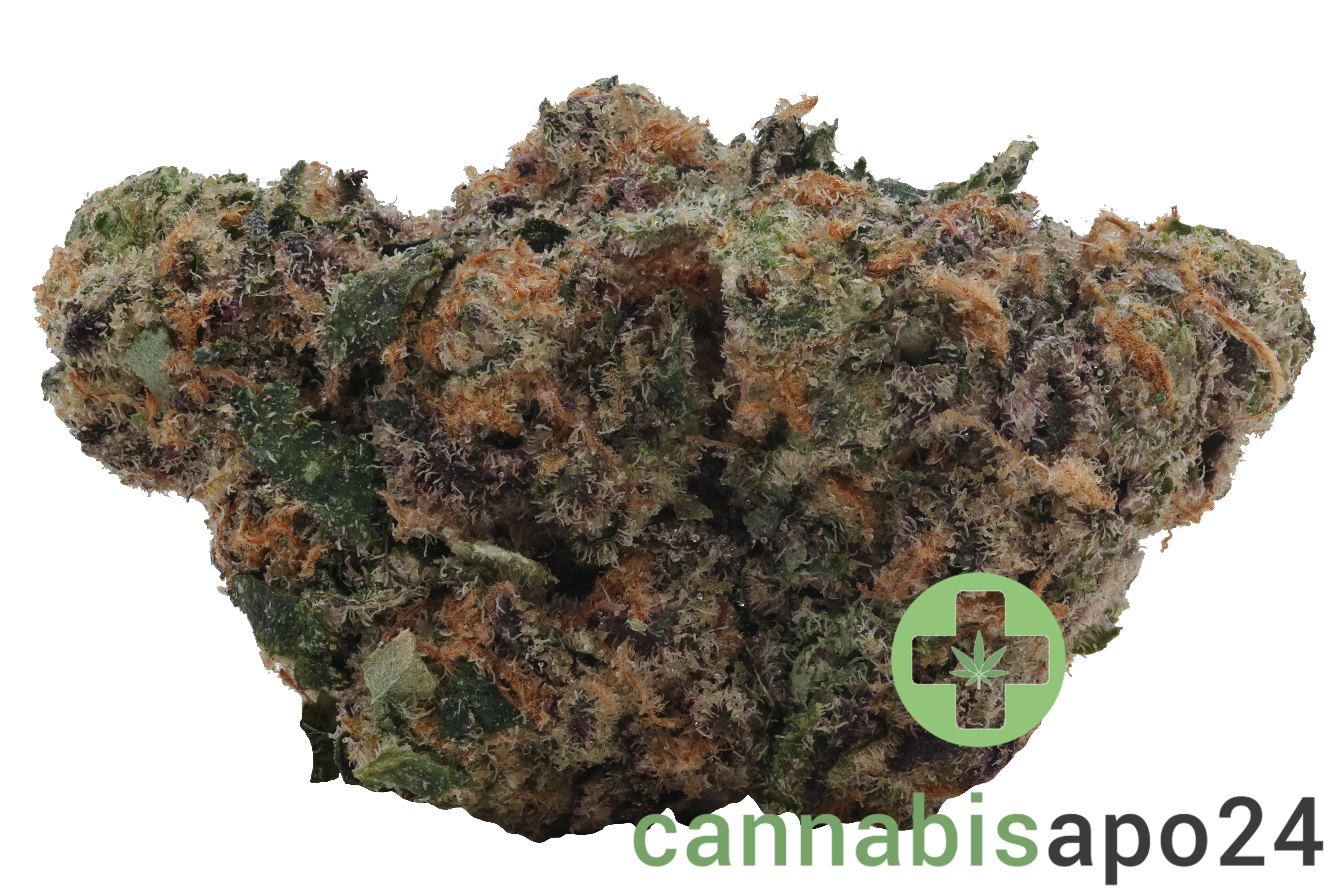CRQSH GKY 30/1 Gas Monkey
