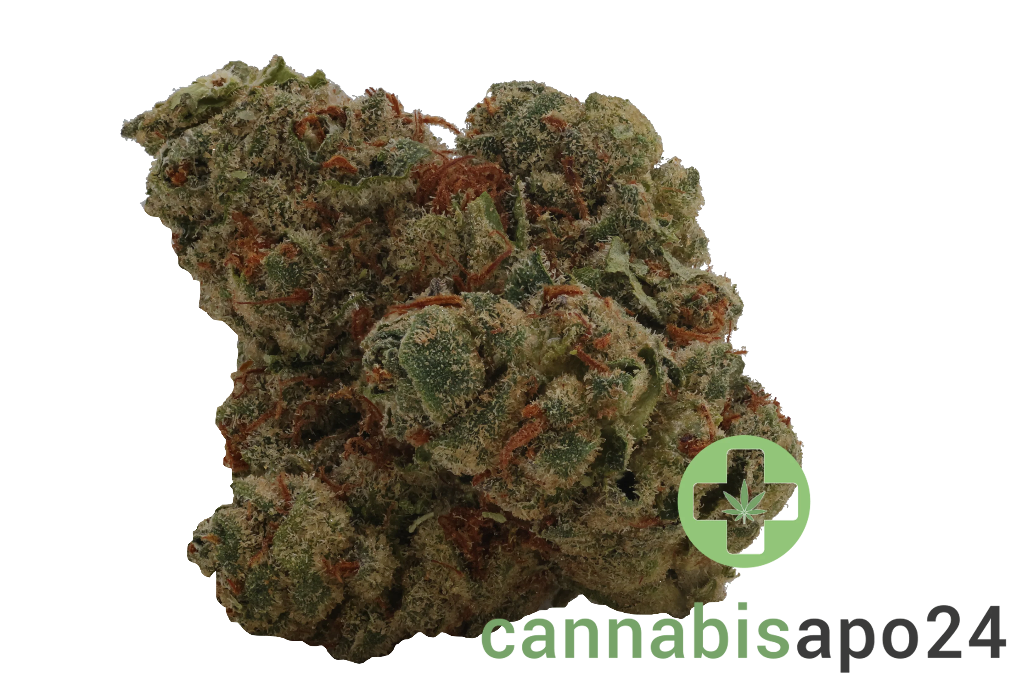 Daily Special 21/1 LEM Lemonatti