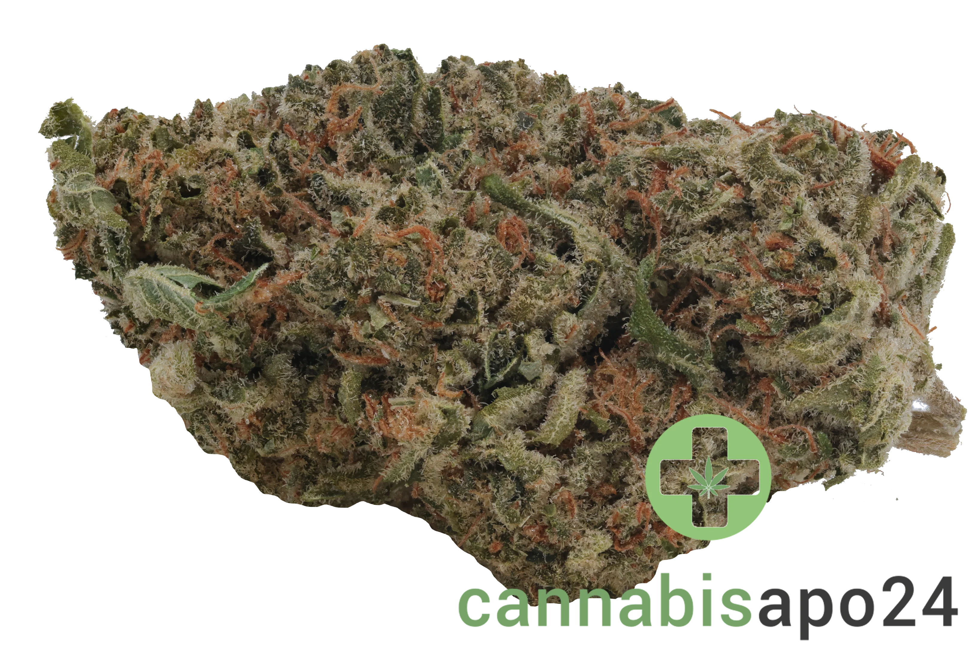 Demecan Core Sunshine Pure 22/1 Tropicana Cookies