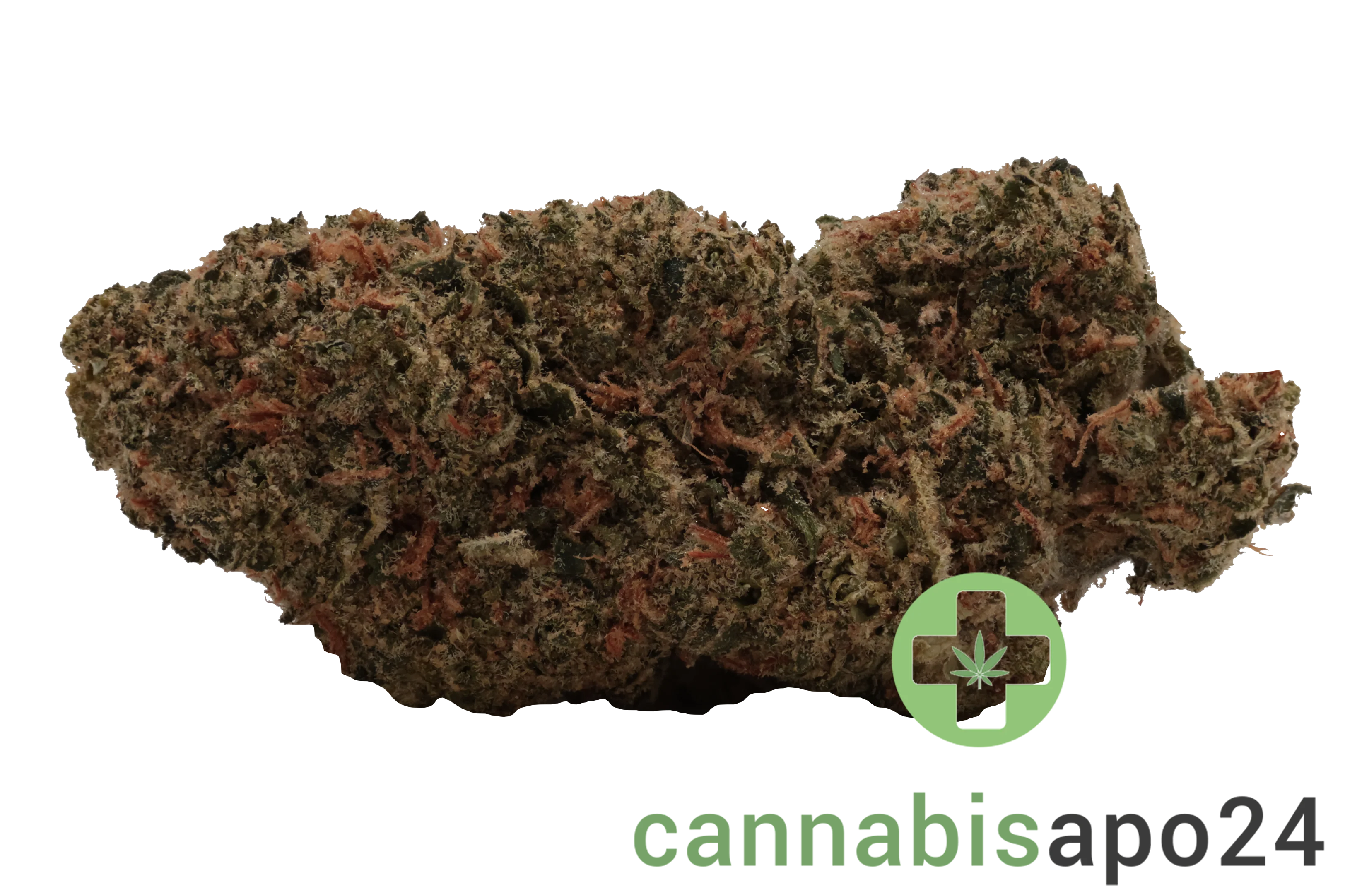 Demecan Core Sunshine Pure 25/1 Tropicana Cookies