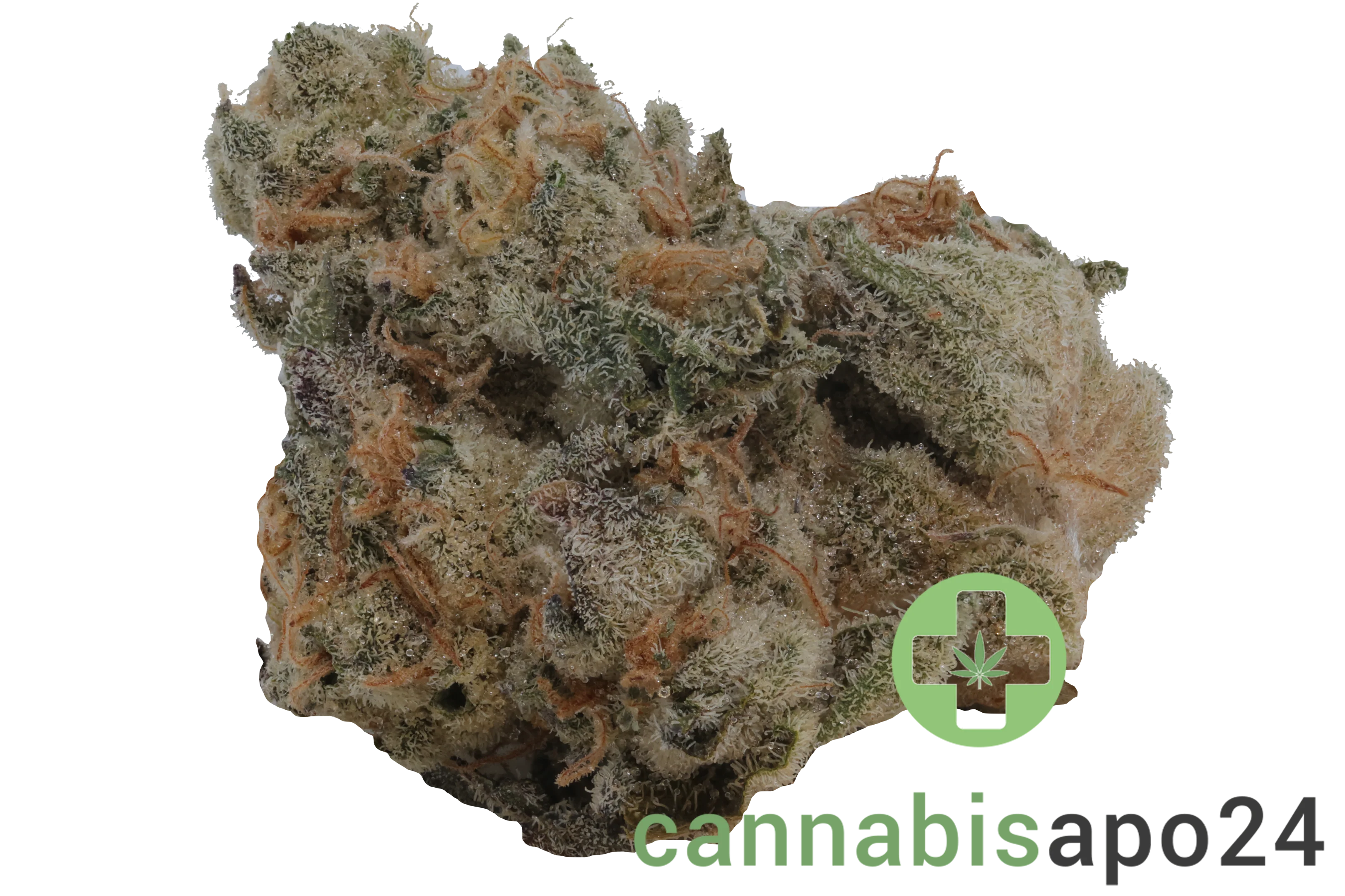 Demecan Craft Electron 31/1 Gelato OG Kush
