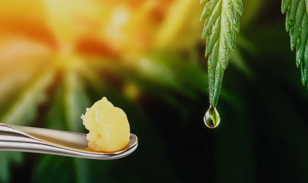 Demecan FE 800 No. 2 Live-Rosin Cannabiskonzentrat