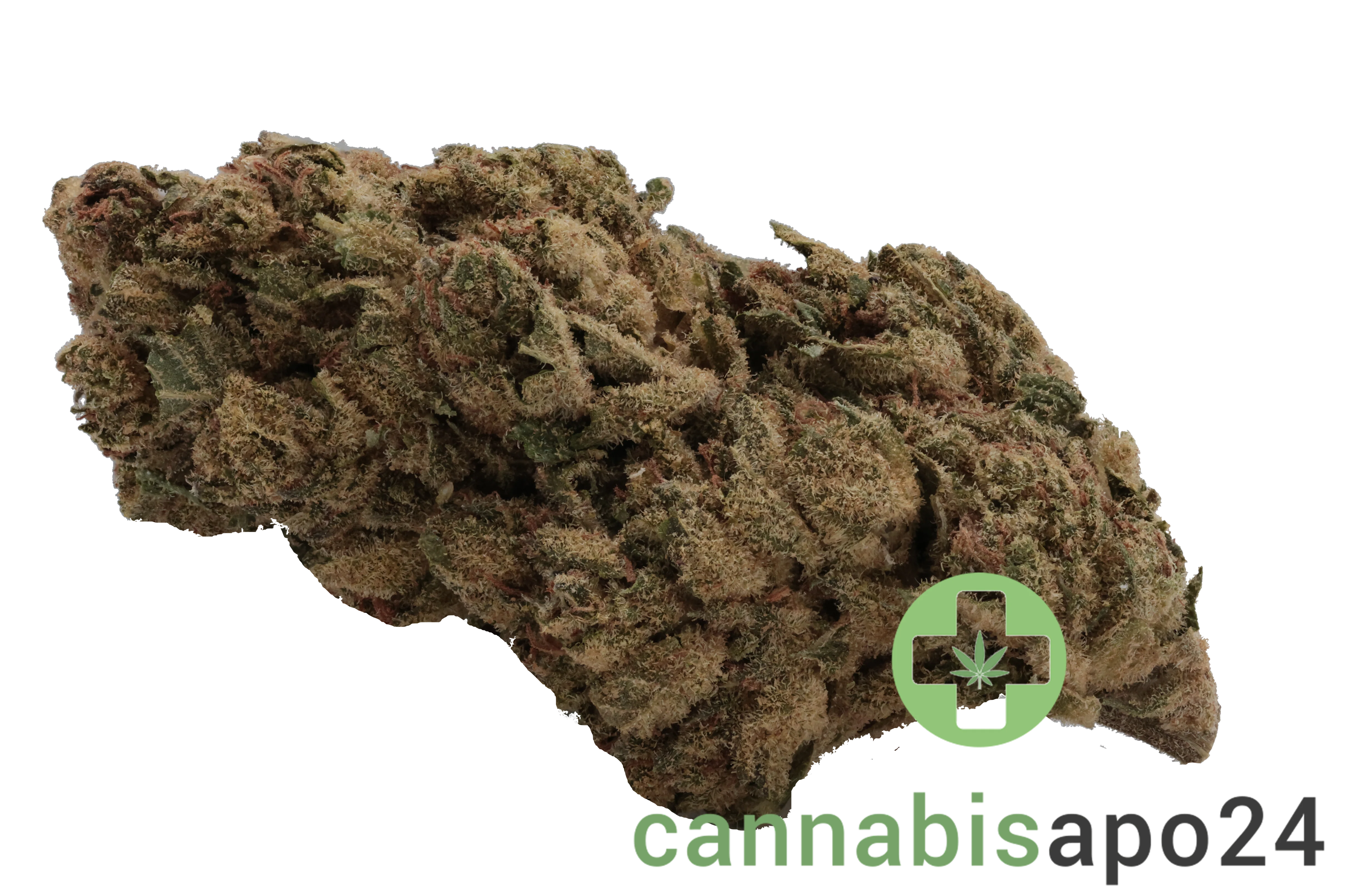 Demecan HS Light Drop Rainbow Dawg