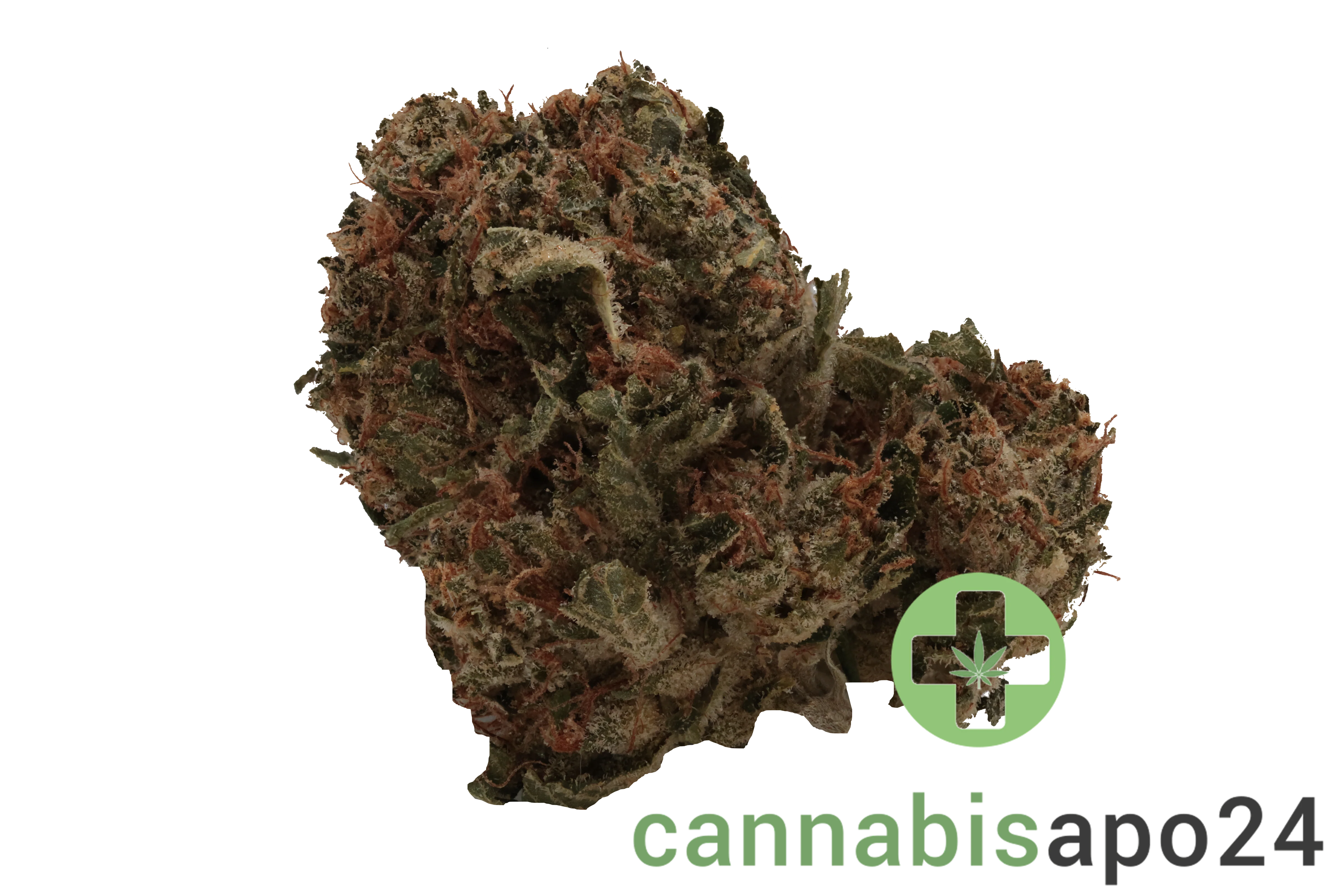 Enua 20/1 DB CA Pink Kush