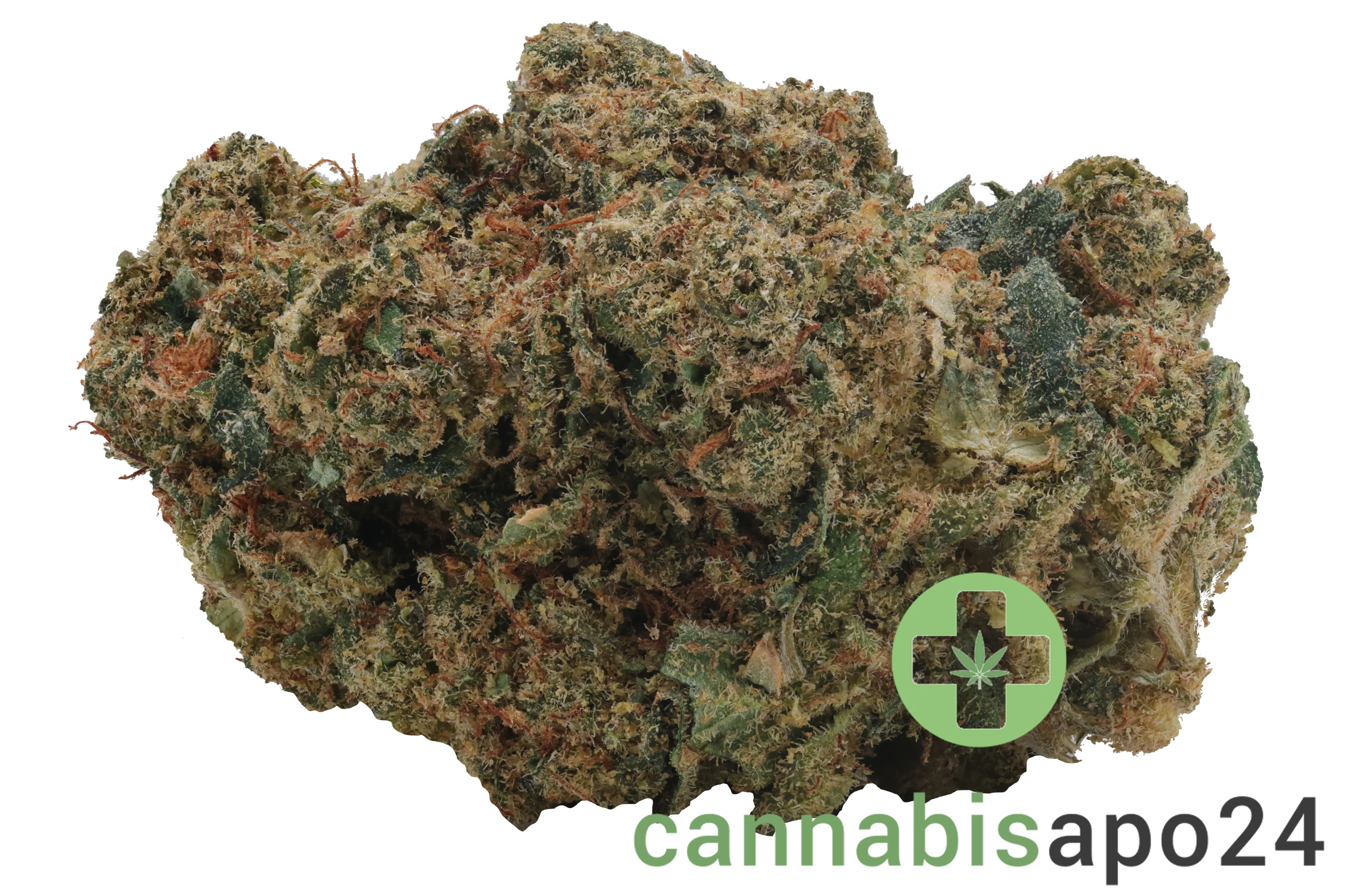 Enua 25/1  11R CA White Widow Cheese