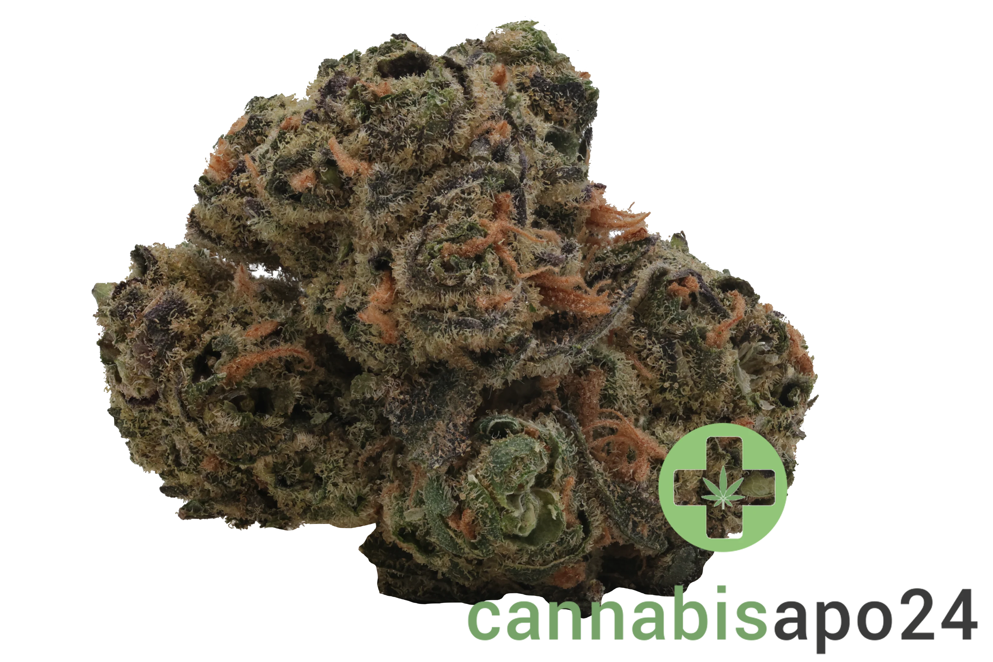 Enua 25/1 BT CA Black Truffle