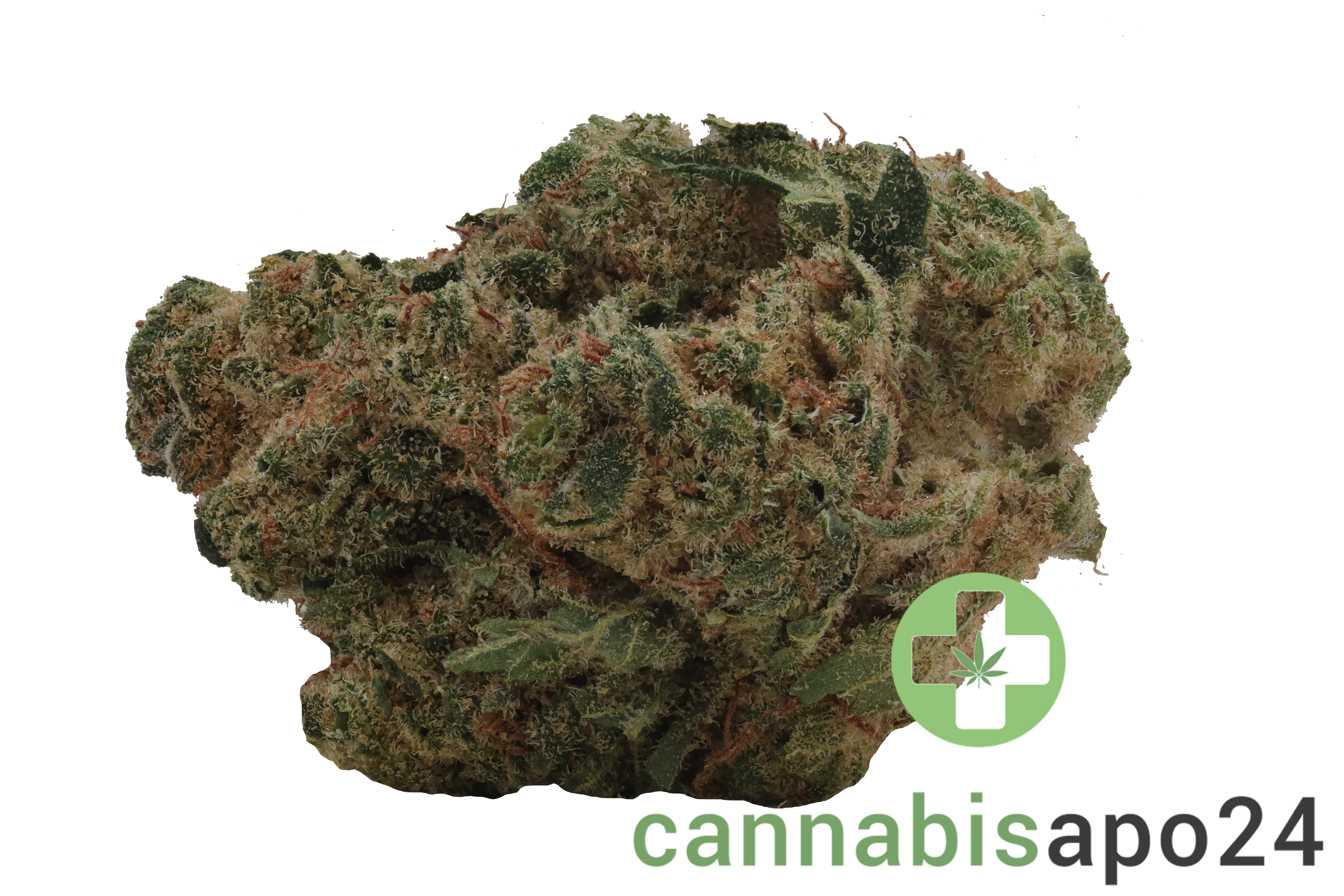 enua 27/1 DGB CA Durban Gorilla