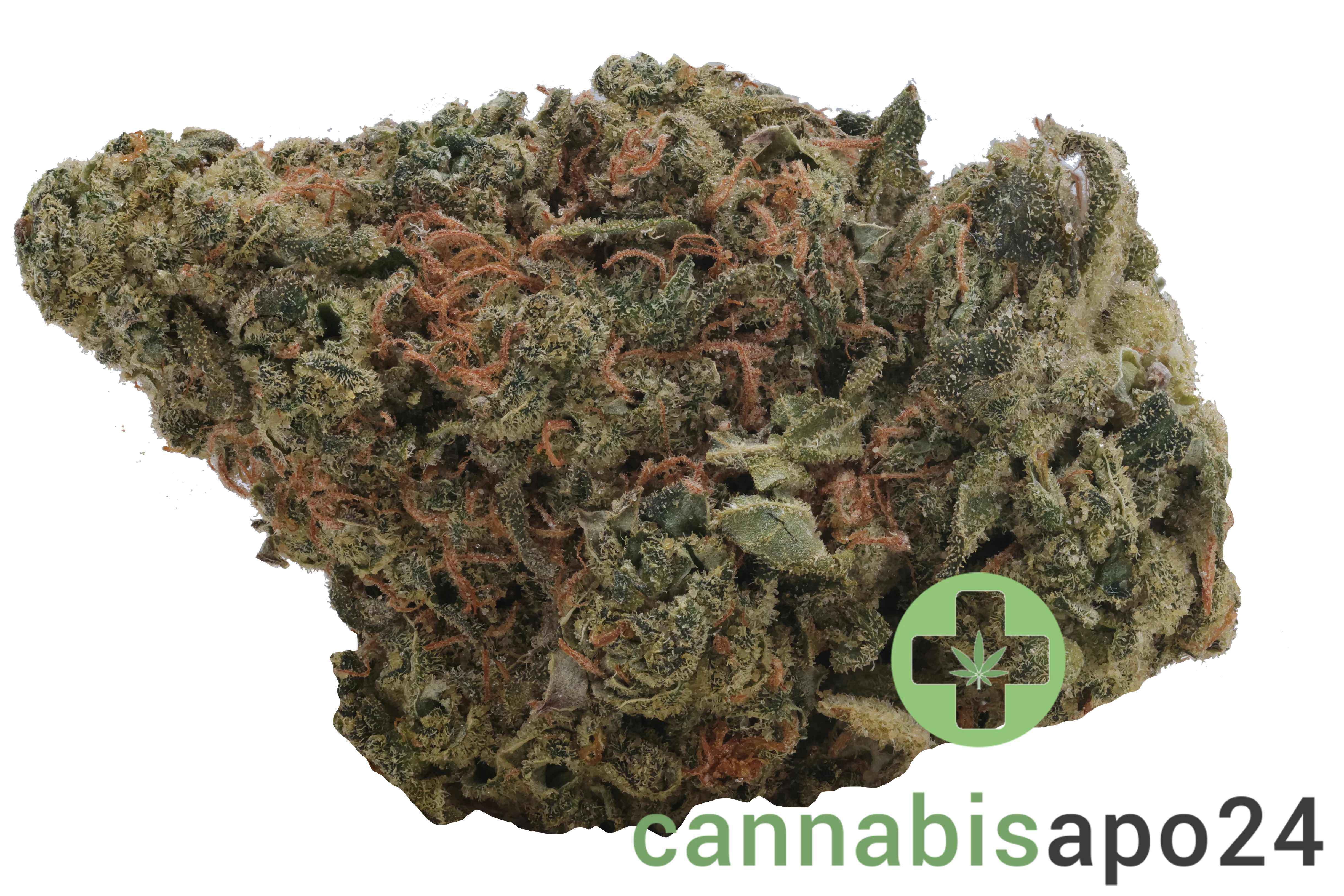 Enua 33/1 LHZ CA Lemonade Haze