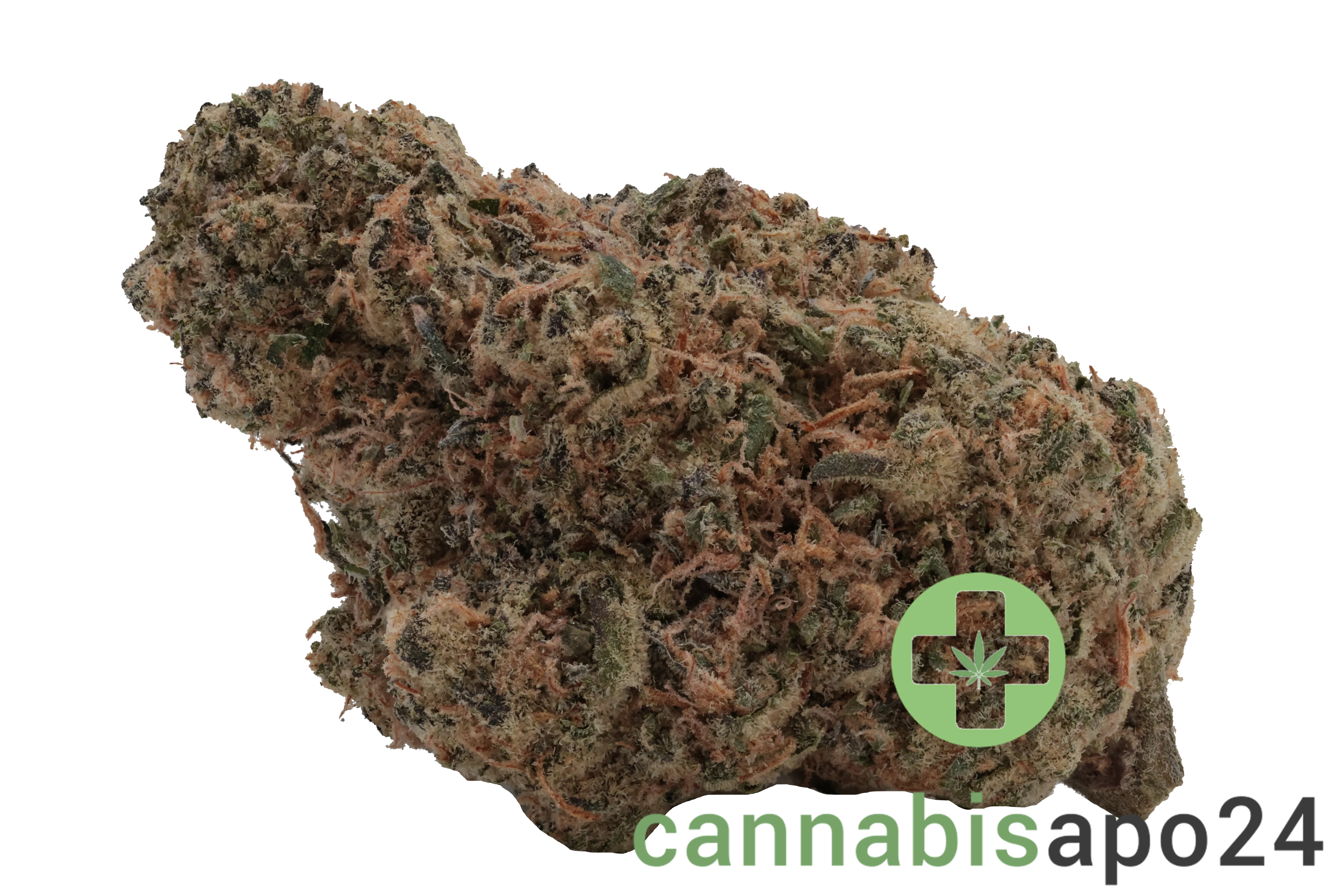 Eufloria 27/1 FCO Frosted Cookies