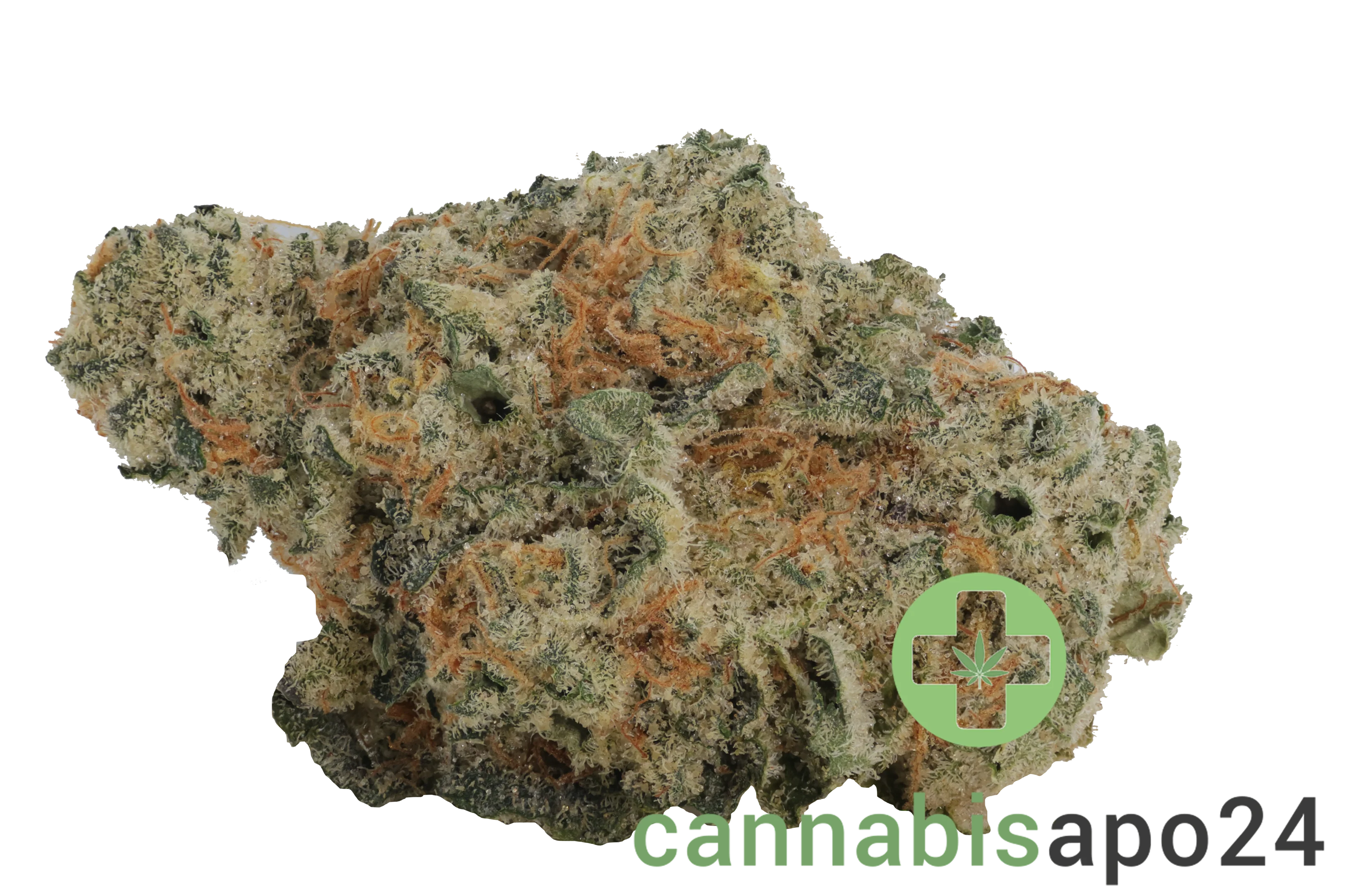 Eufloria 30/1 LBA LA Baker
