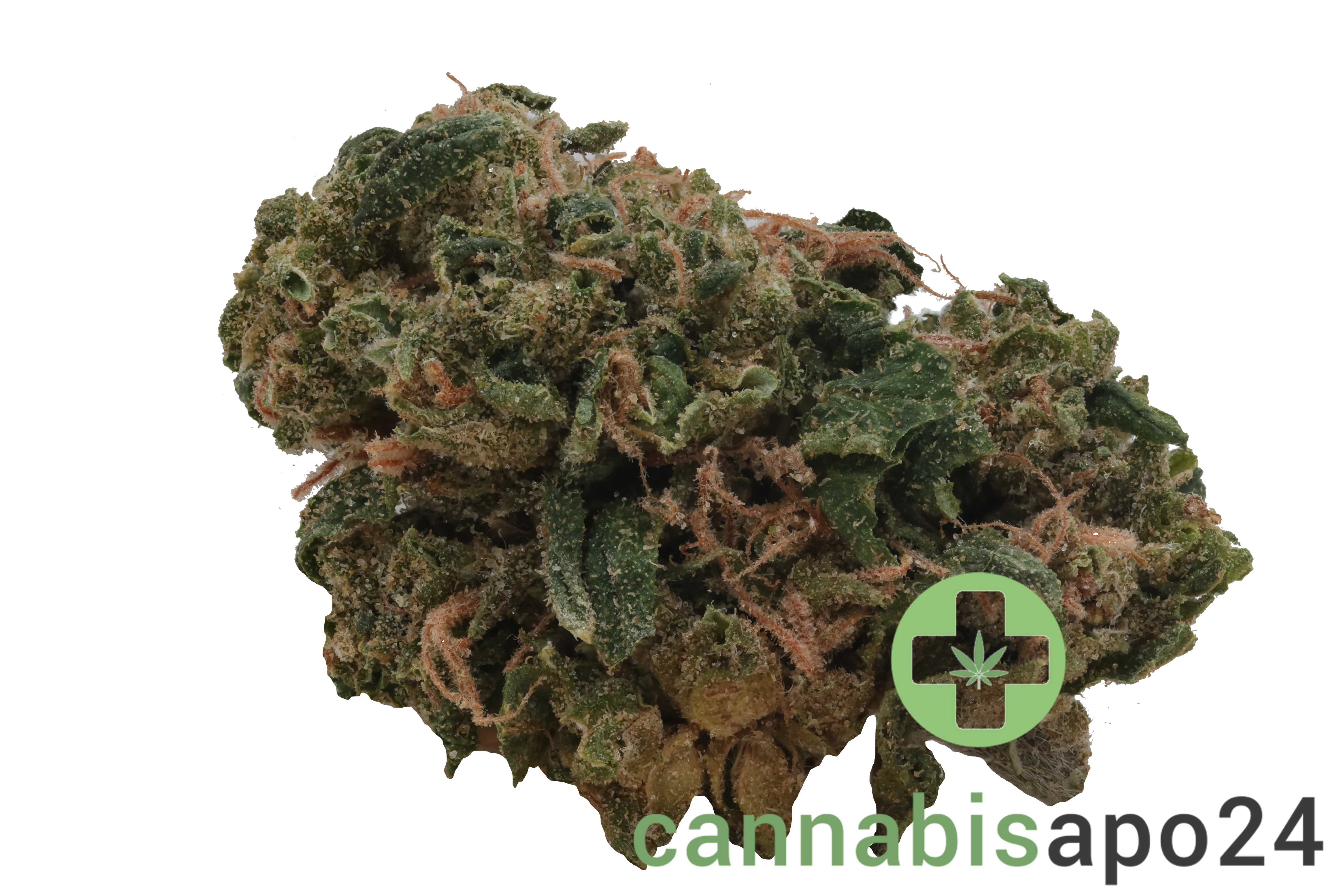 HiDealz 27/1 MS HWH Honeydew Haze - smalls
