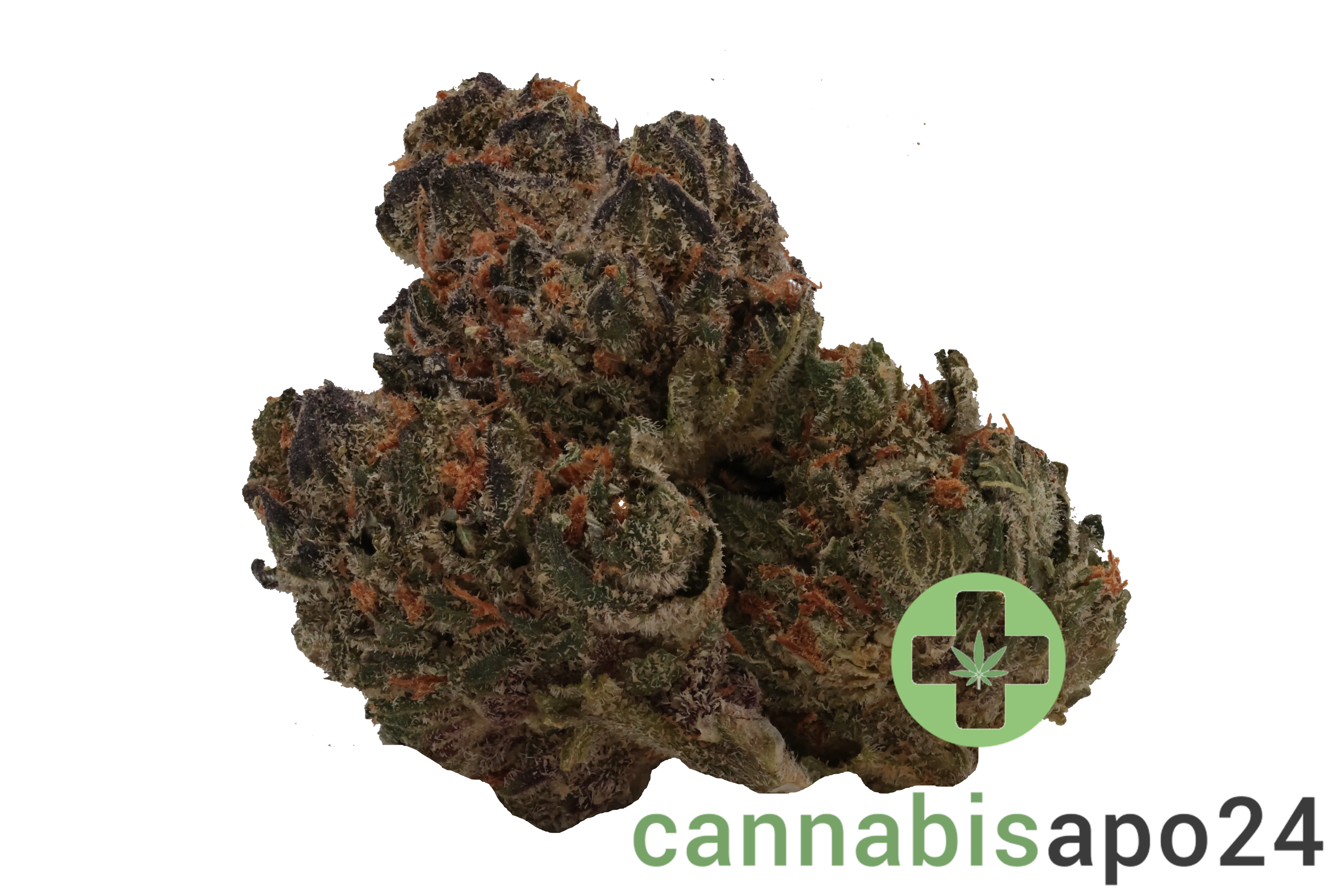 Huala 25/1 UK CIN Cinderella Kush