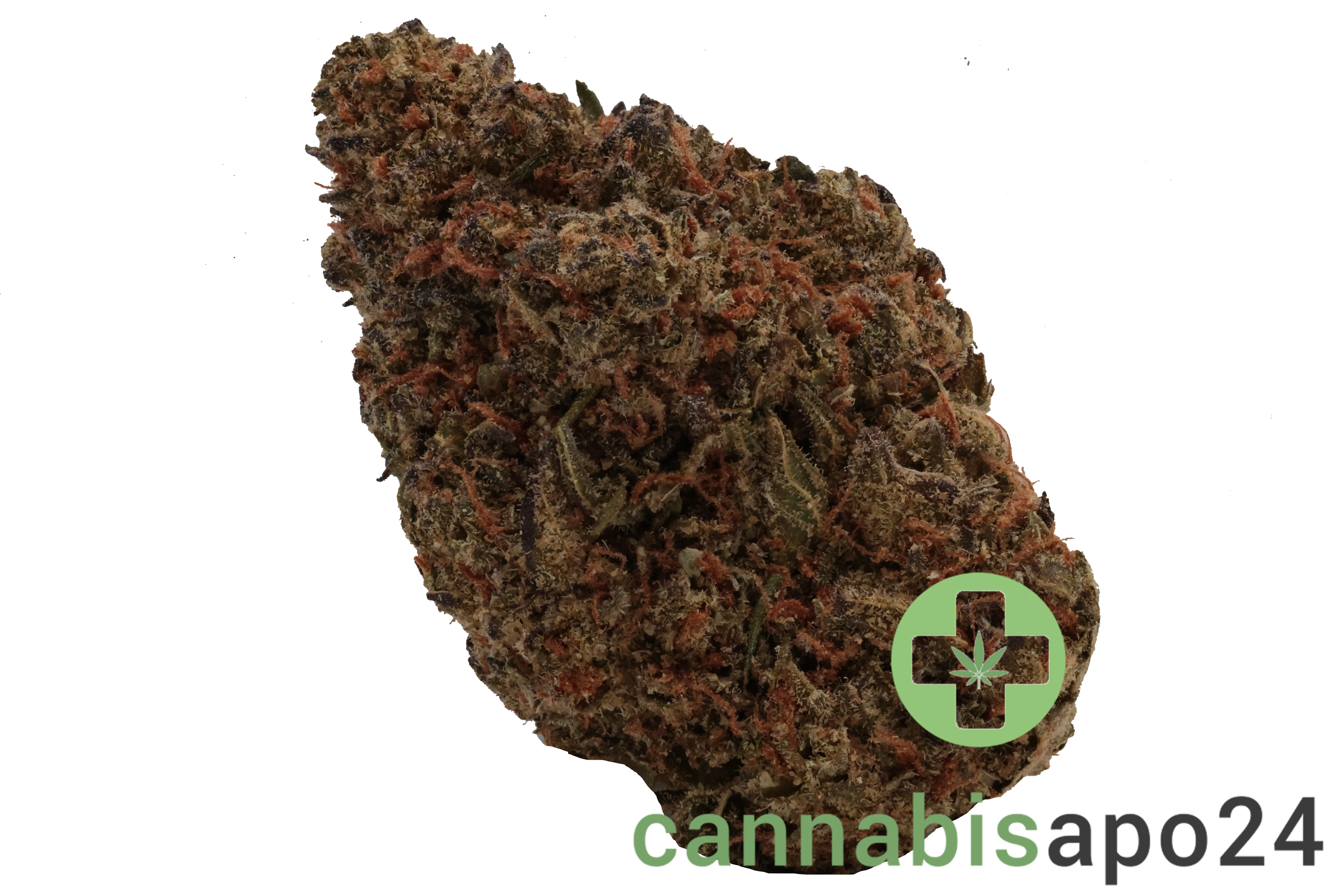 Huala 27/1 UK CIN Cinderella Kush
