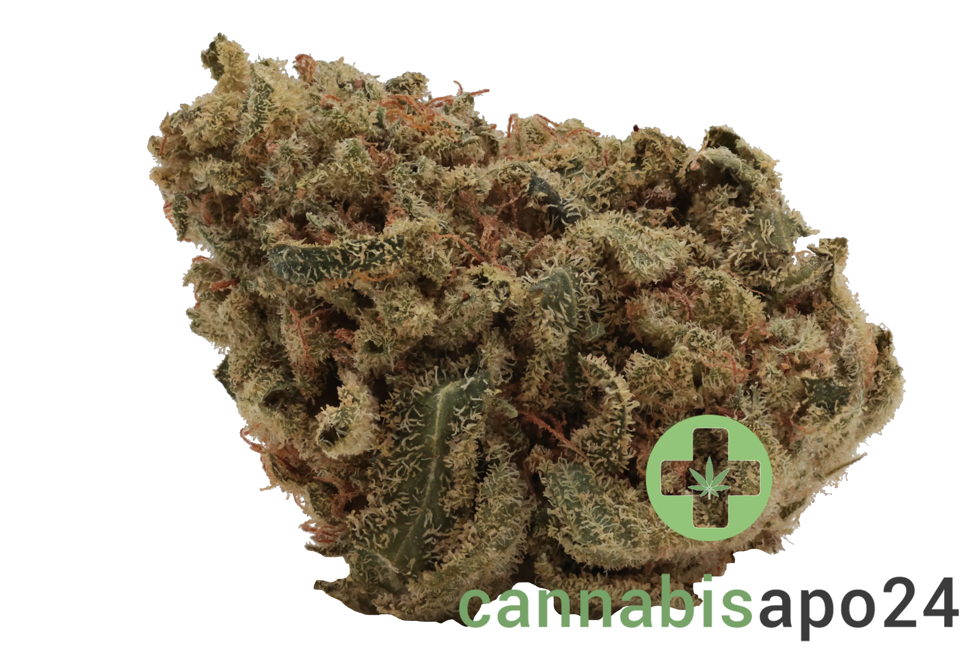 IMC BAJ THC27 Token Clementine