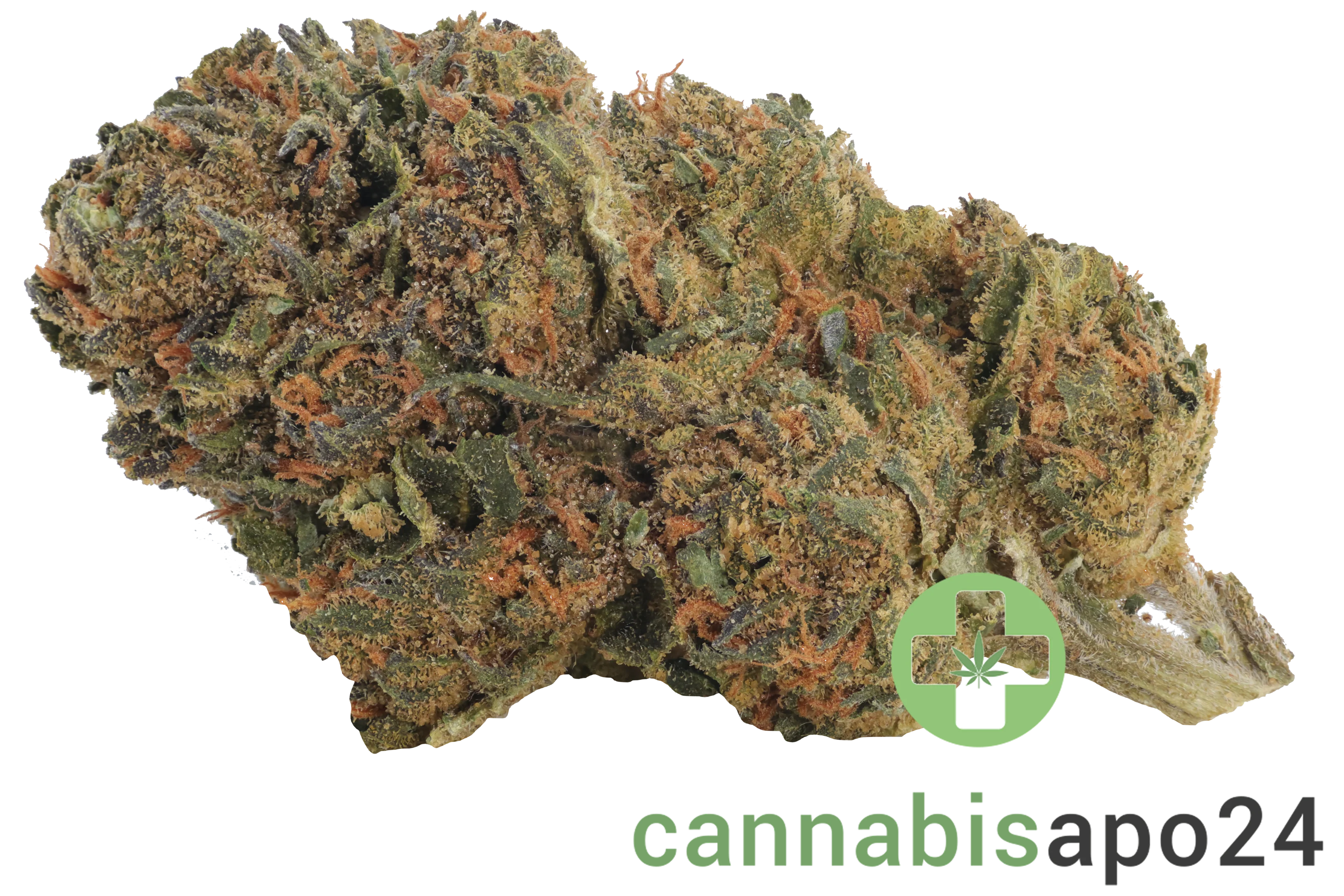 IMC BM THC26 Selected Neville's Skunk