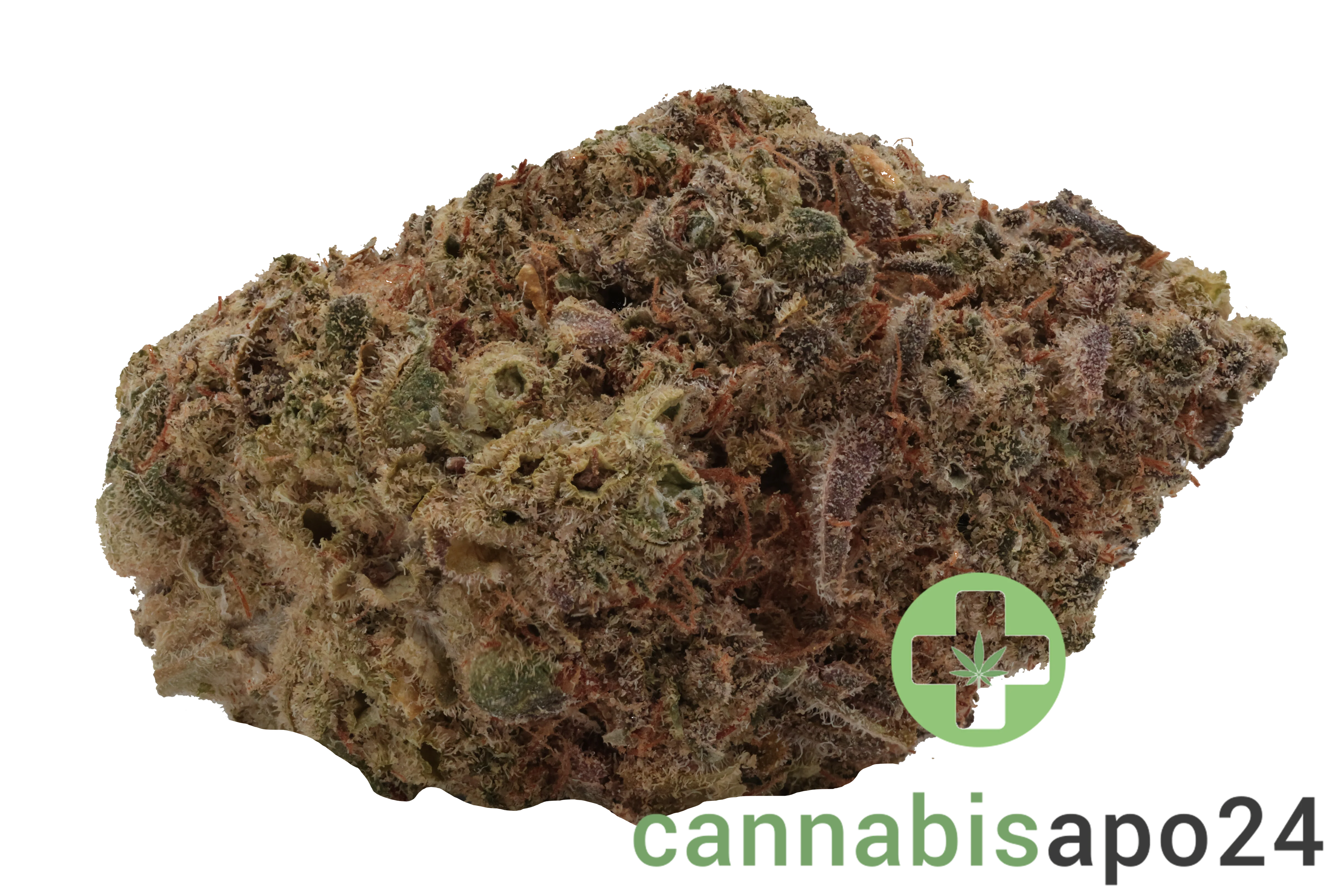 IMC Craft SUS THC26 Super Sativa