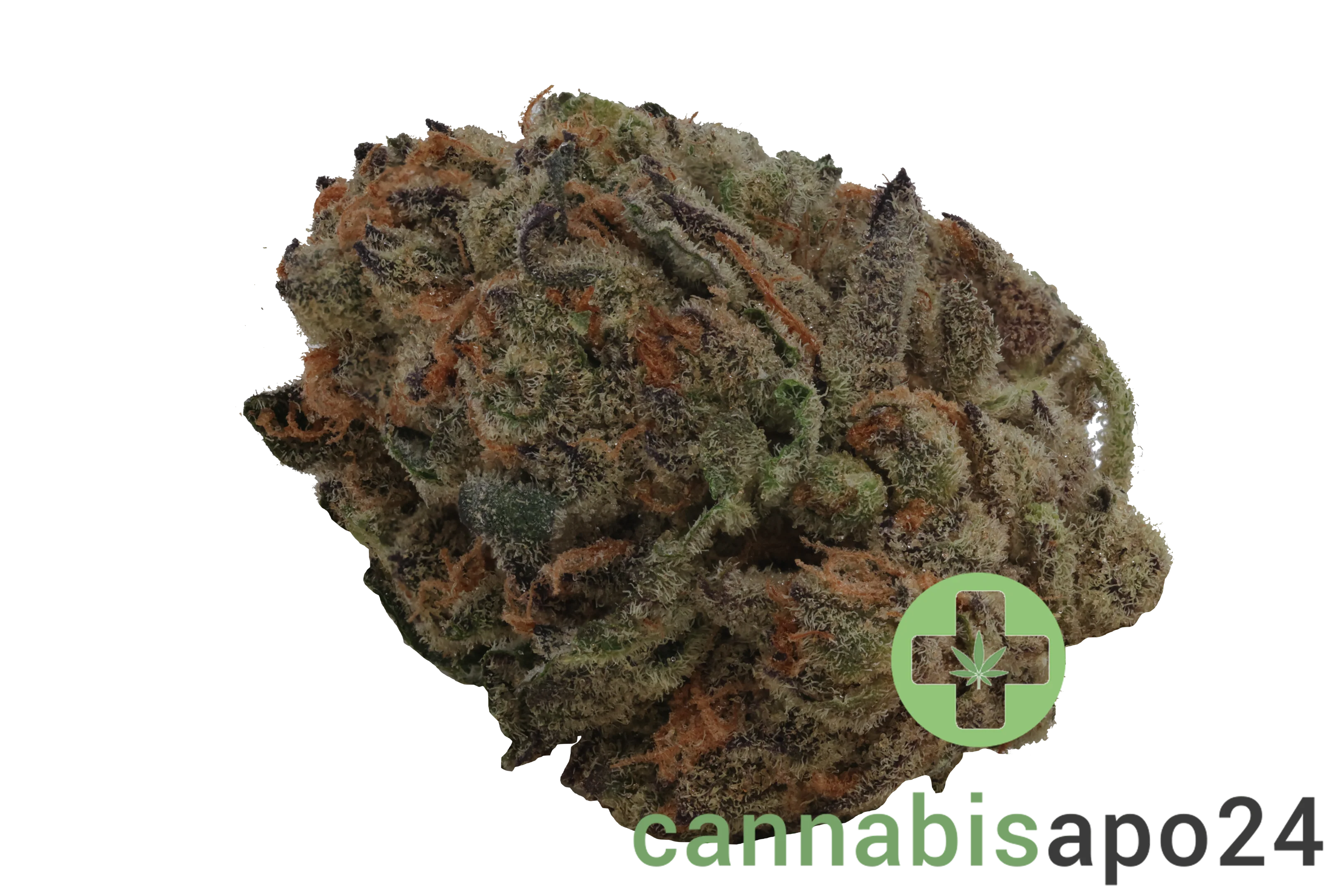 IMC GGA THC24 Purple Grape