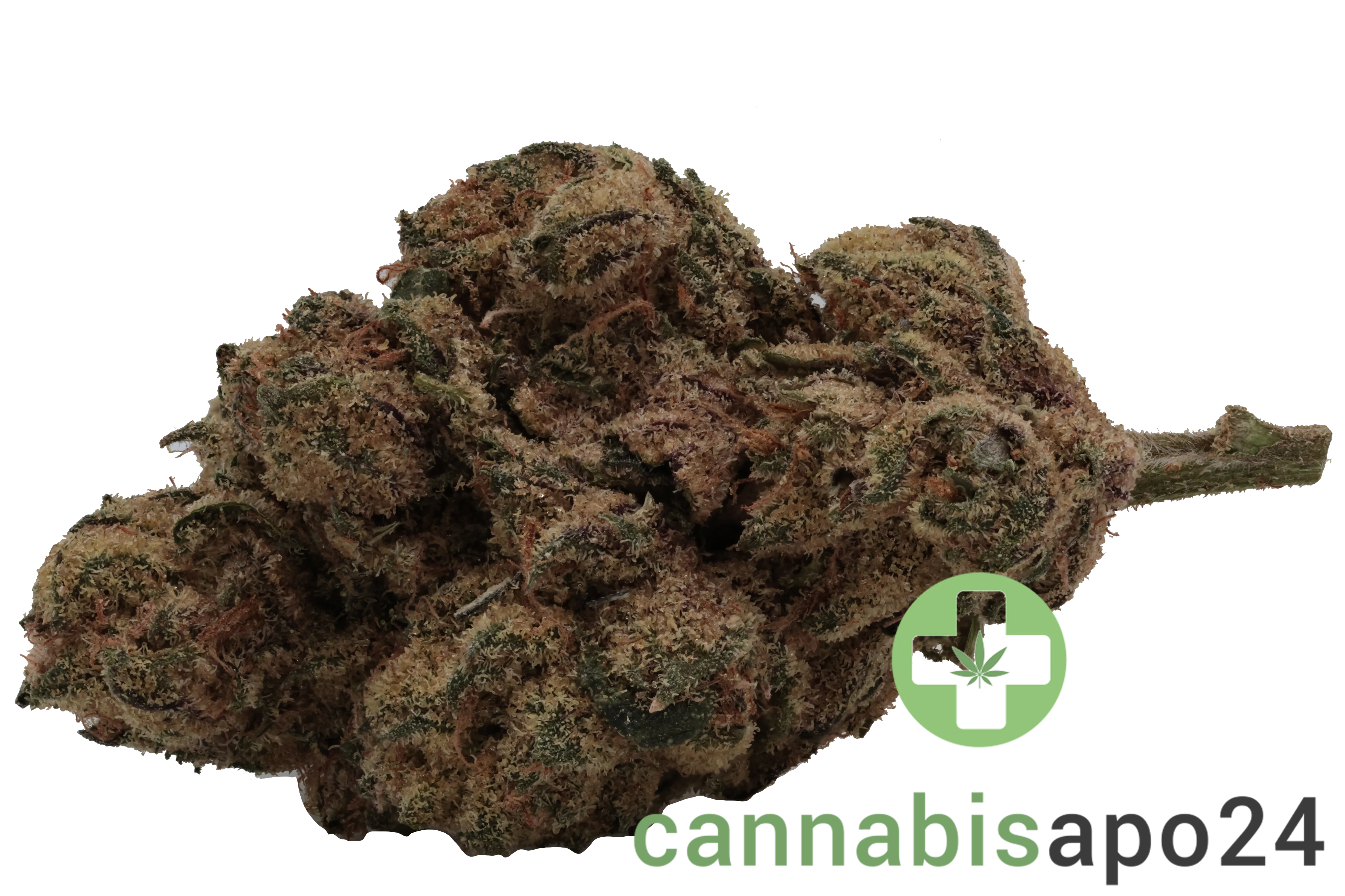 IMC GRZ THC22 MIDS Jungle Pop