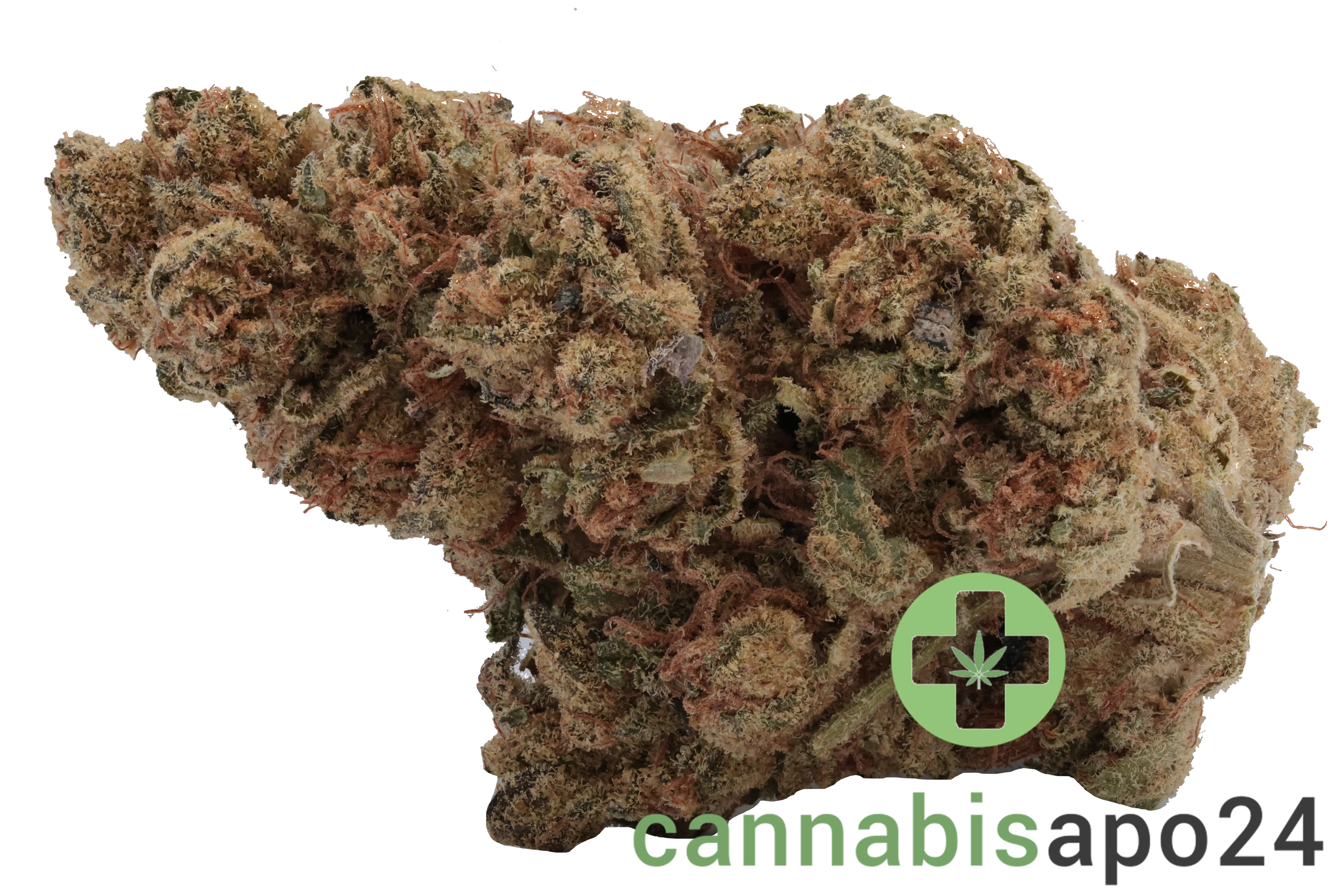 IMC TB THC 24 Tropicana Banana