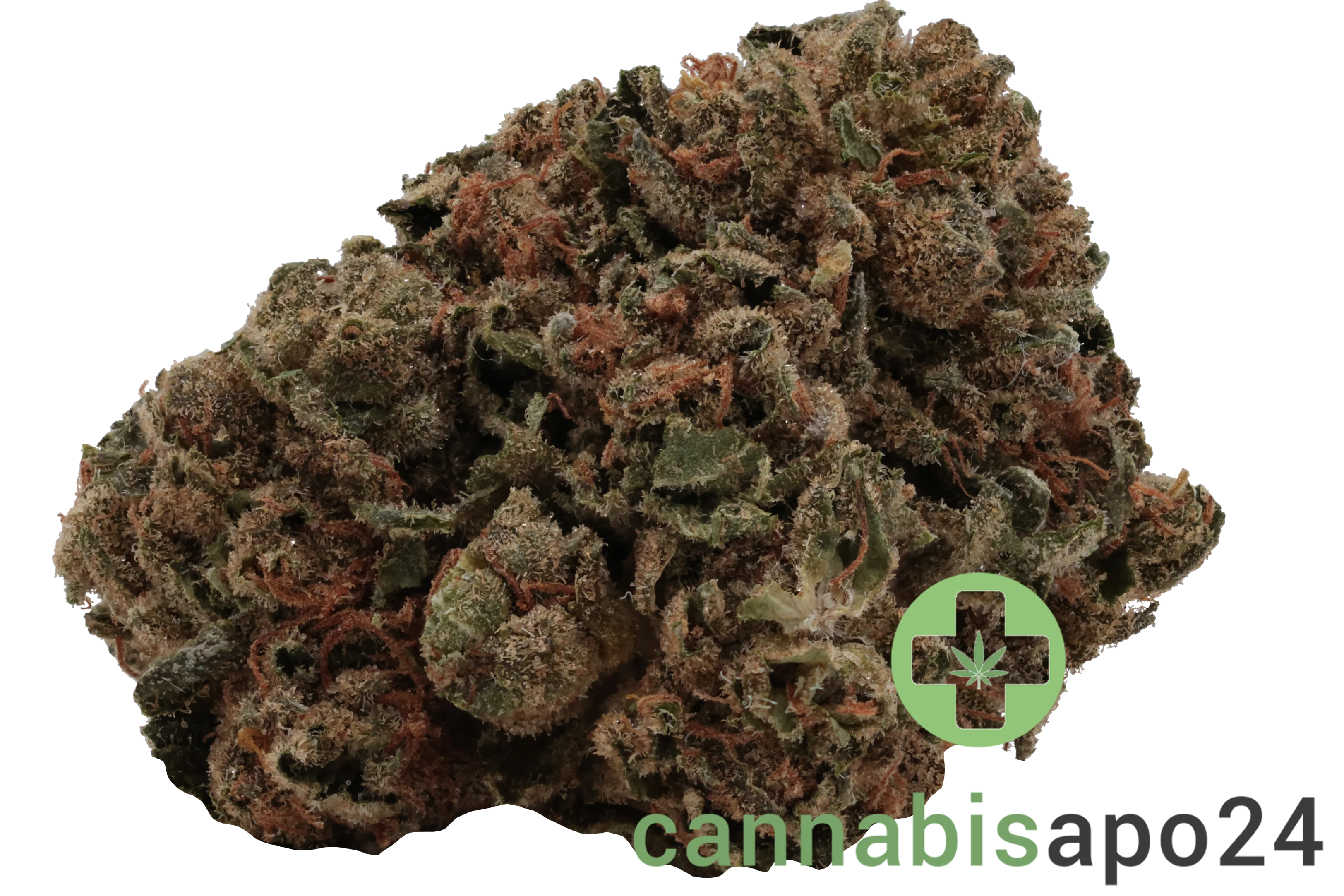 madrecan 21/1 GB Garlic Budder