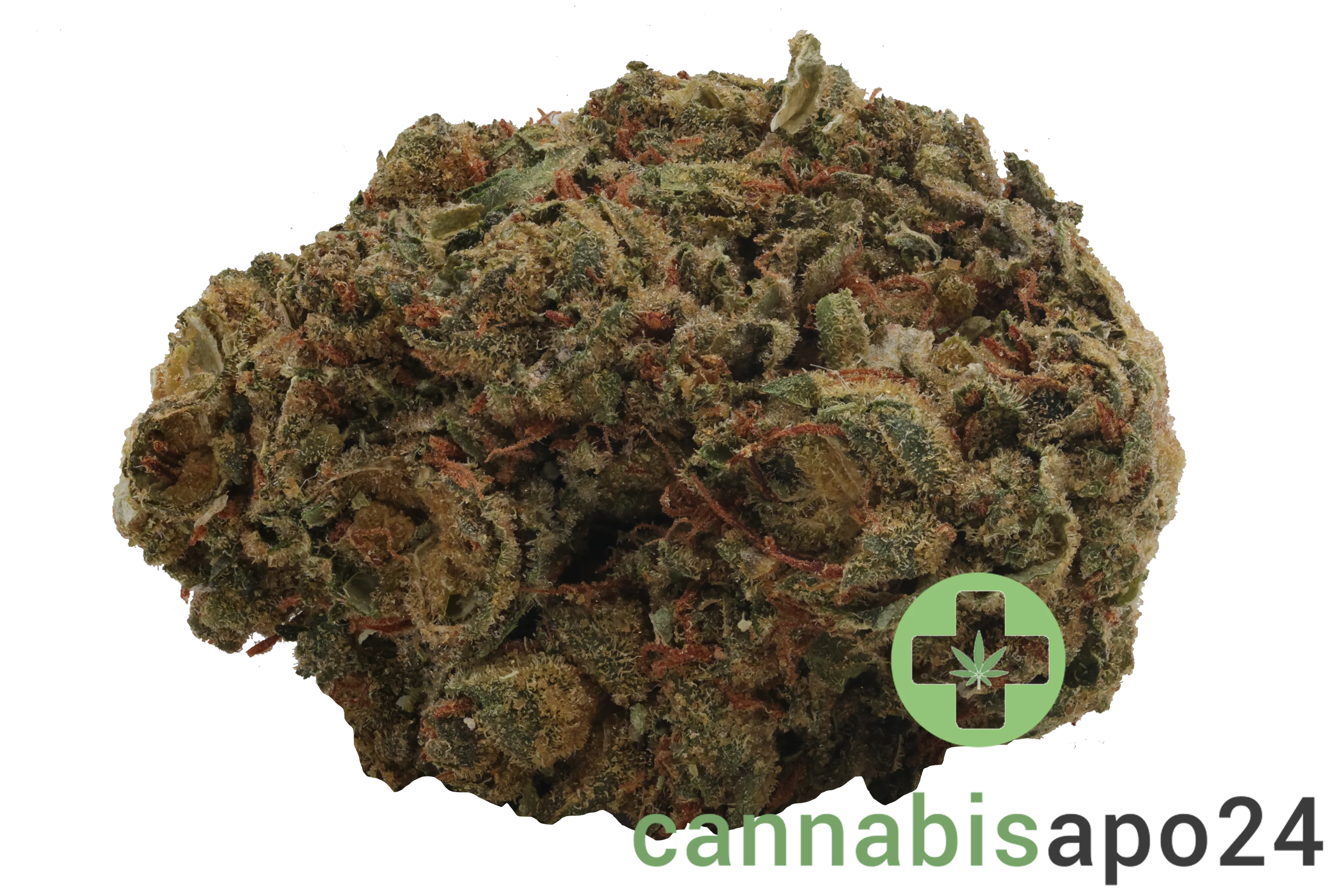 Medical Saints 18/1 MGE Mango Gelato