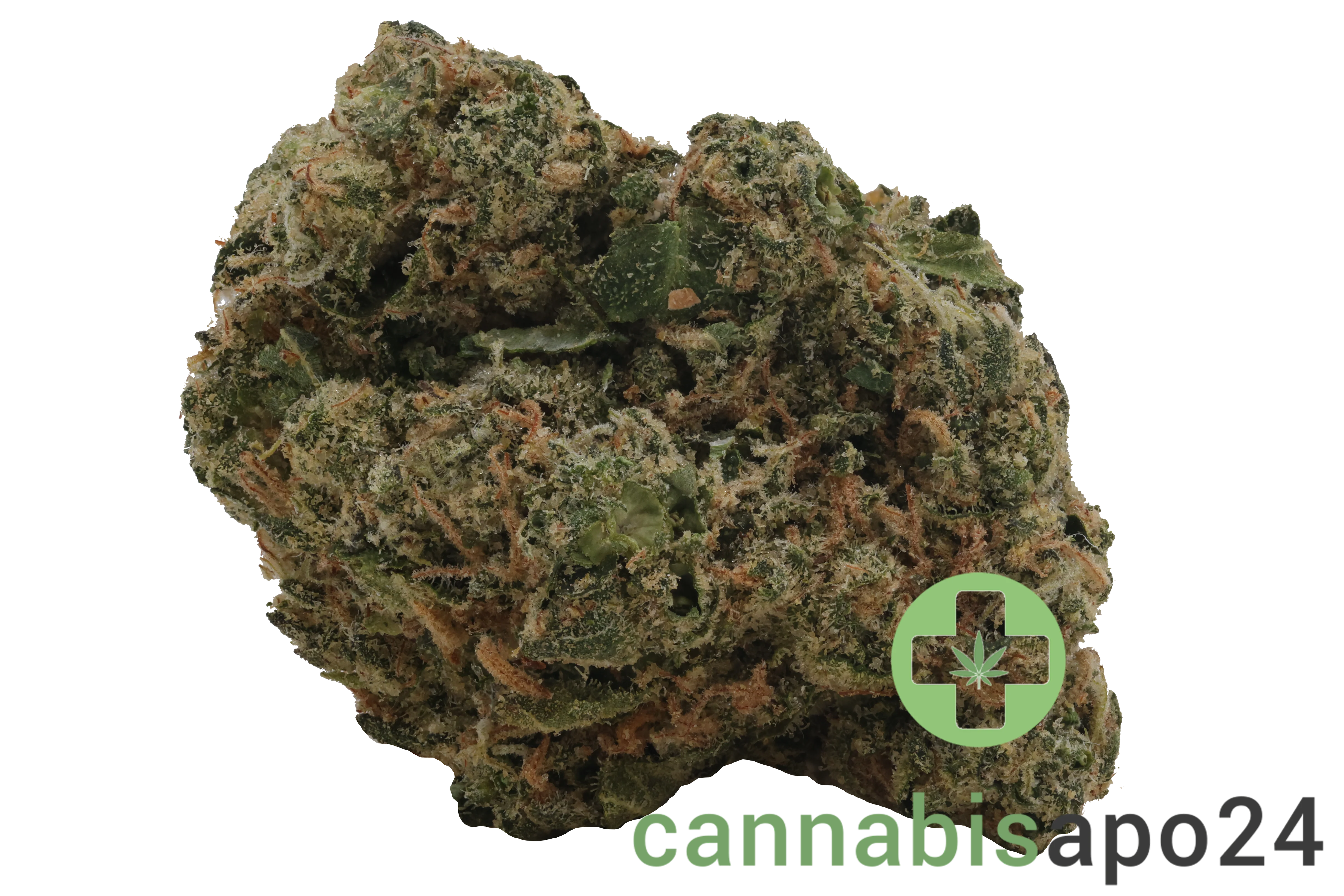 Medical Saints 21/1 ICC Ice Cream Cake