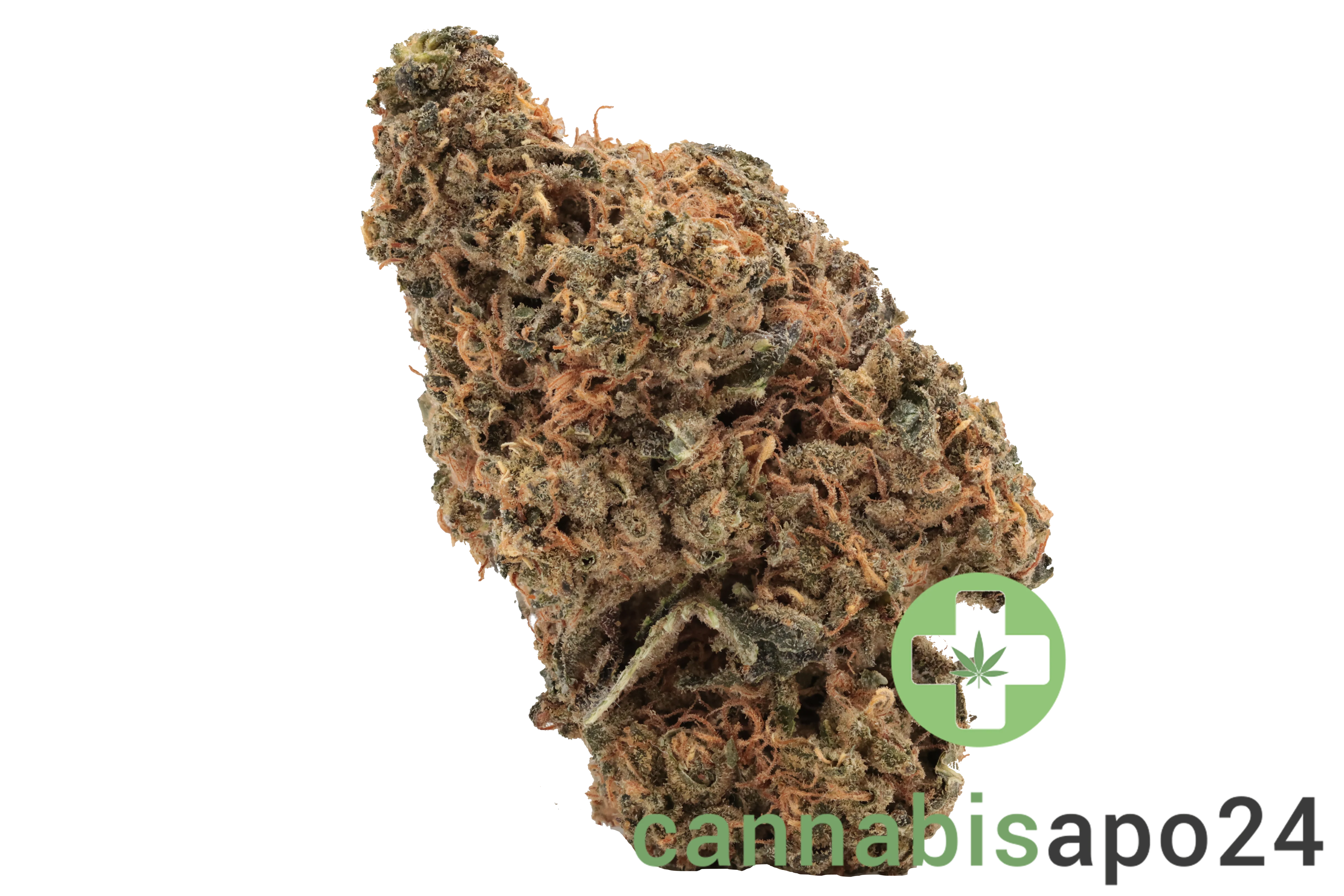 MediCann OZ 26/1