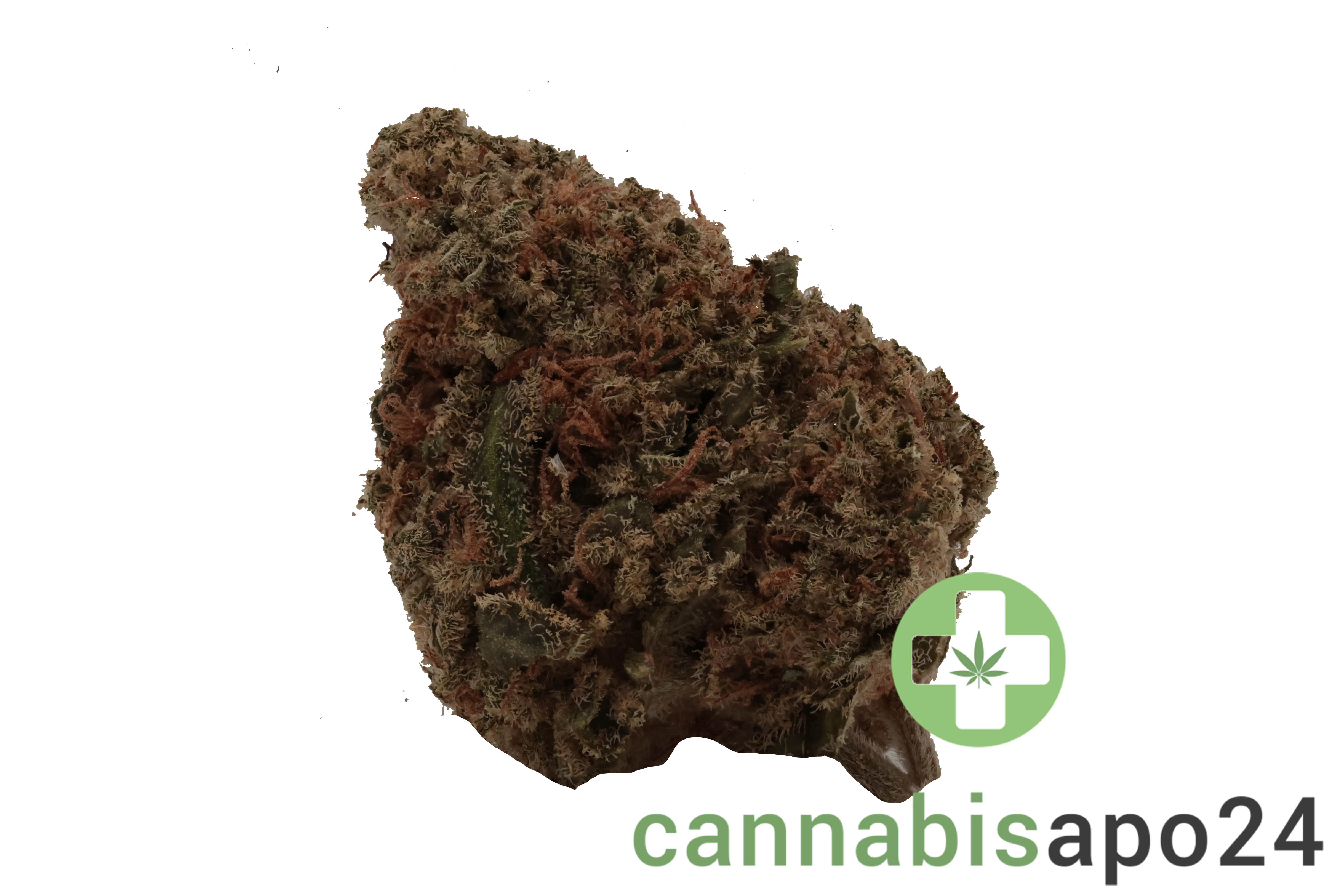 Mediprocan African Ruby 26/1 - Gorilla Glue