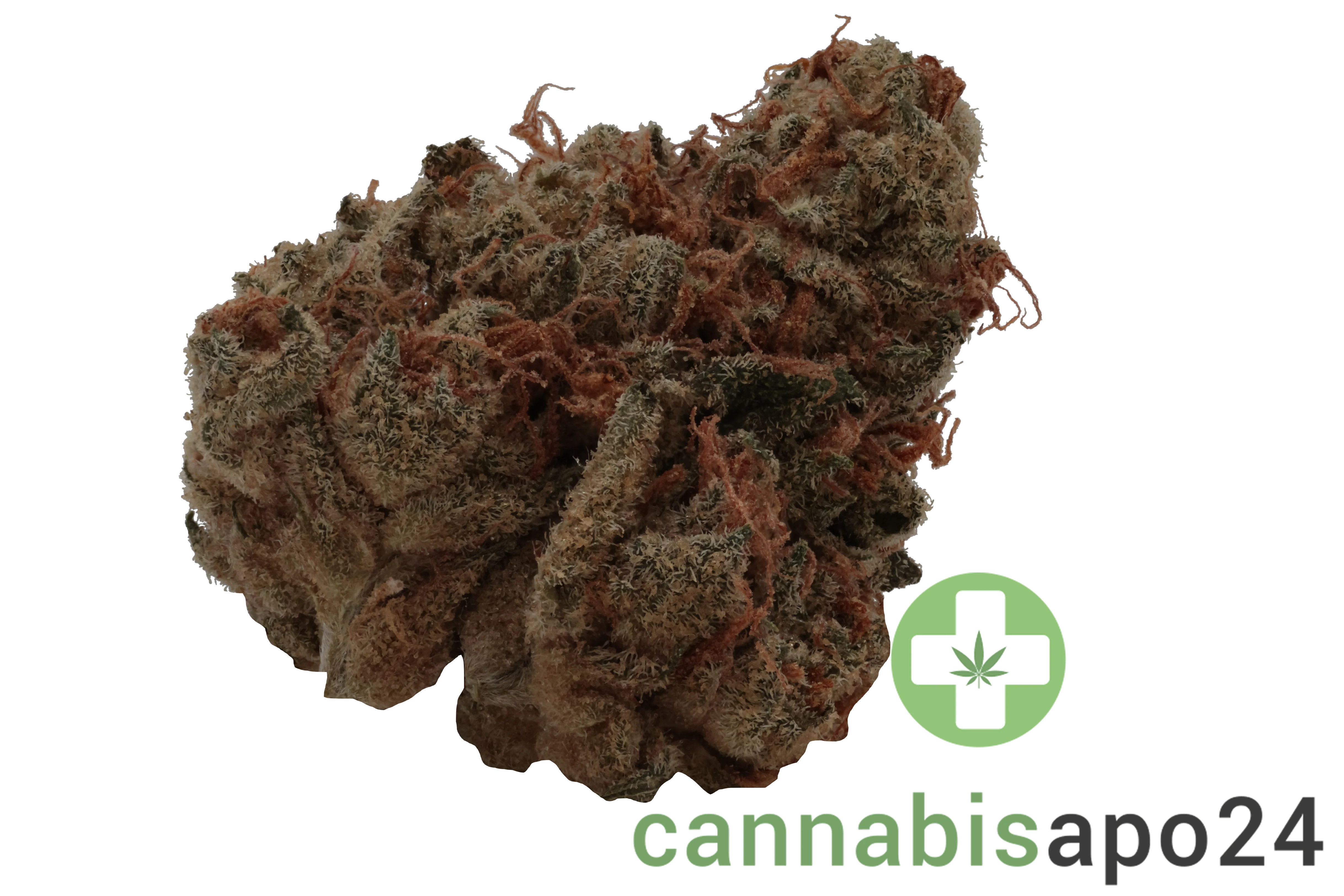 Mediprocan African Ruby 28/1 Tangy Diesel Cheese