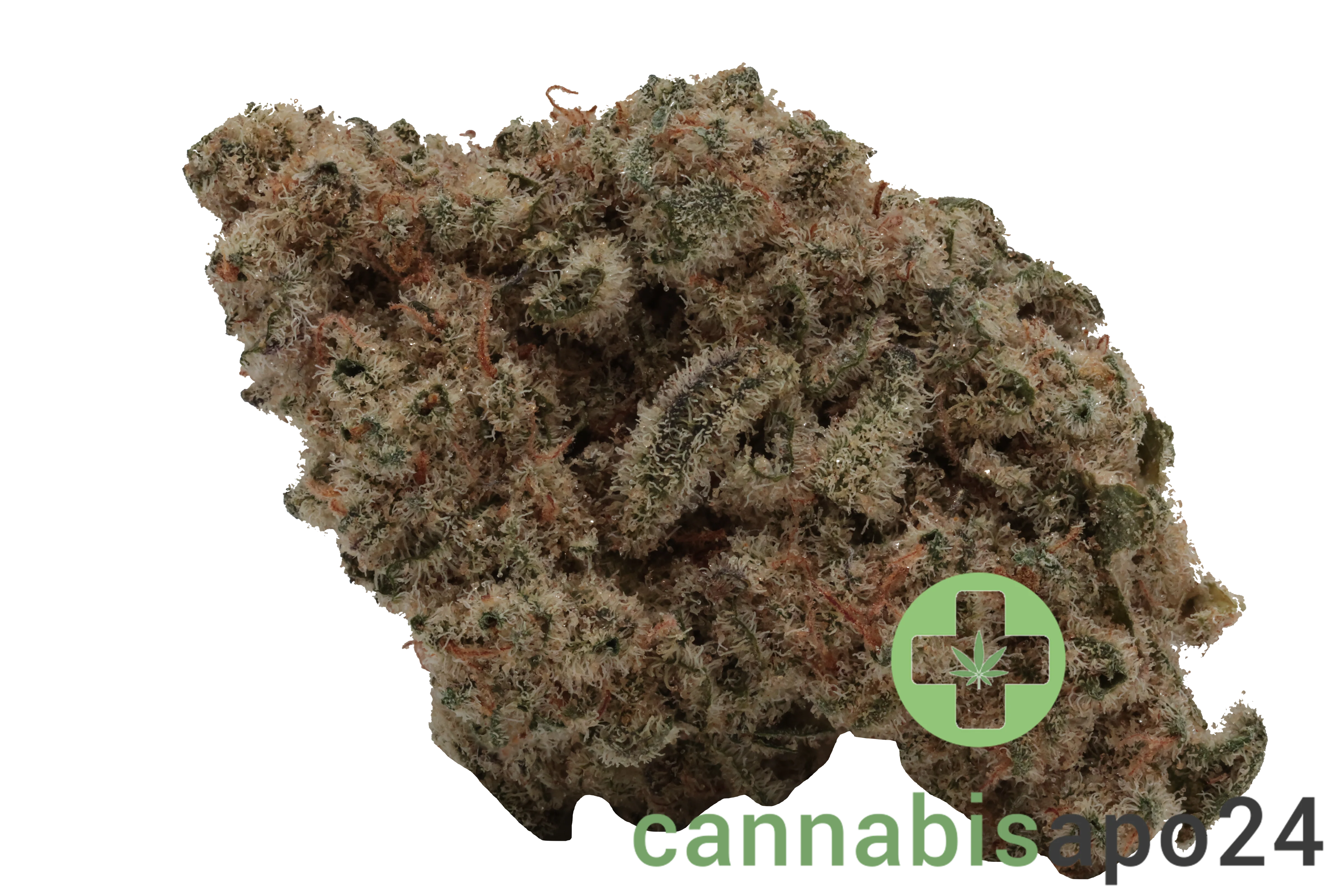 MGF THC 26 Blue Monkey