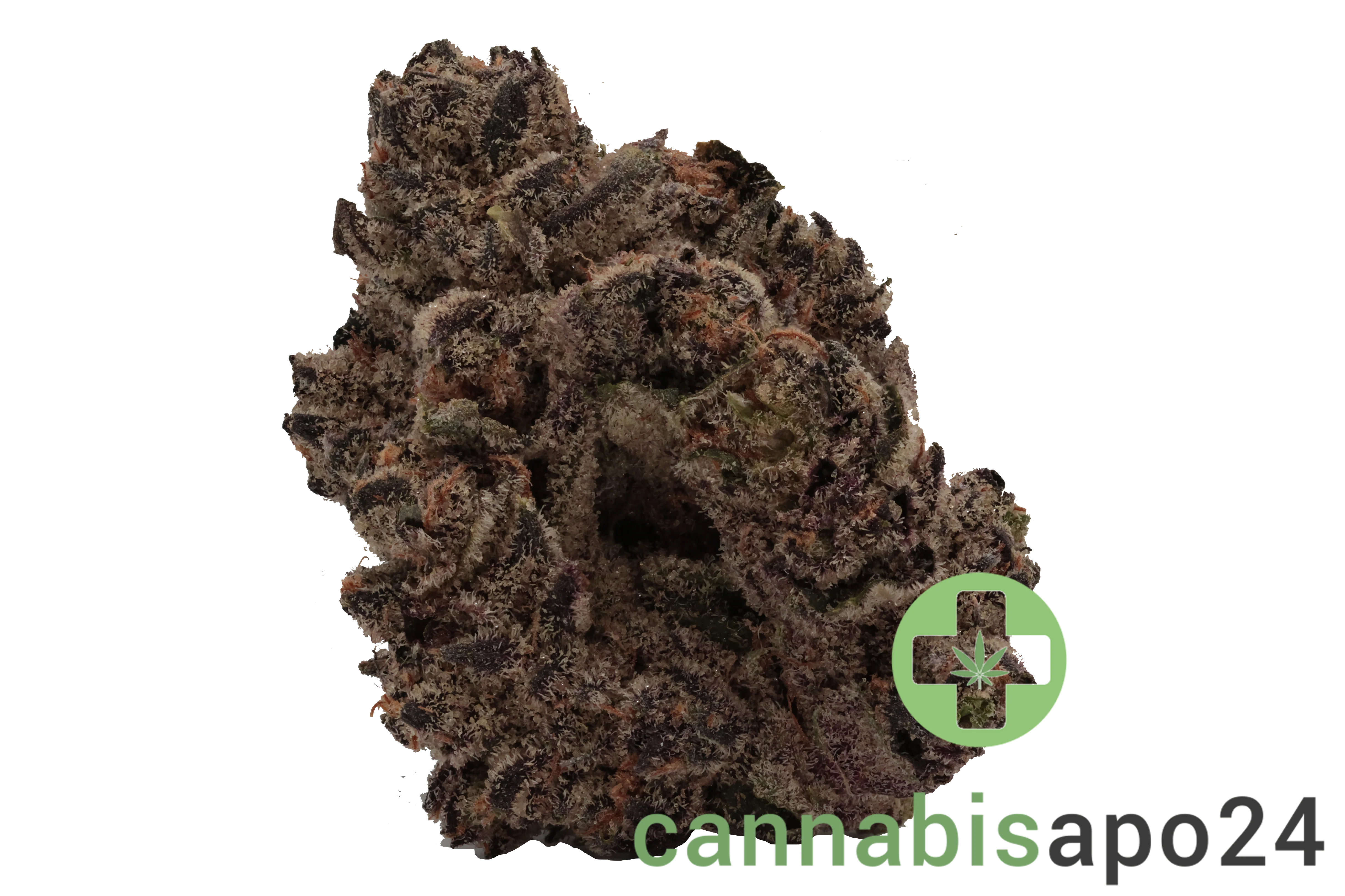 MV RBP Rainbow Pie