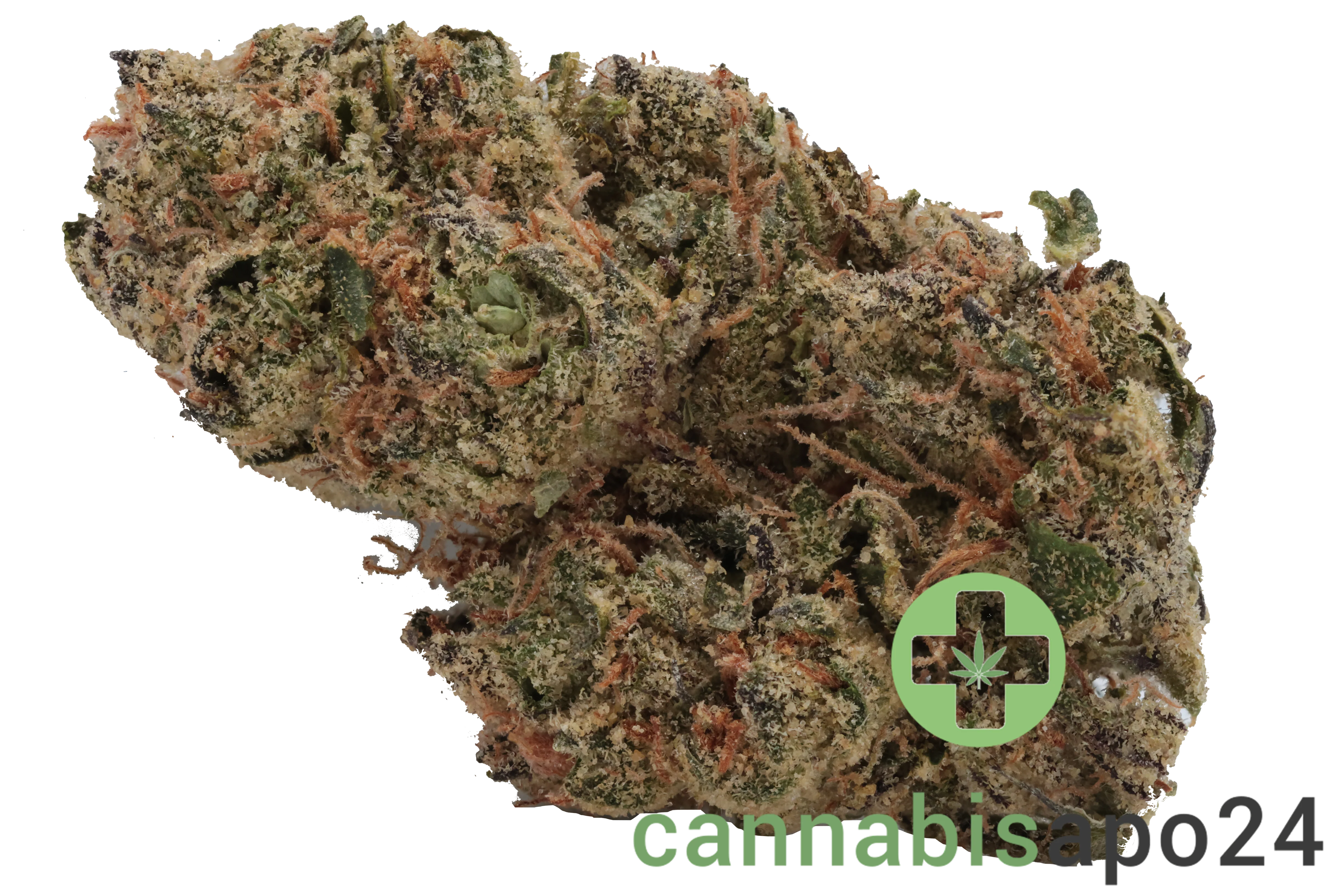N!CE 24/1 CG Lemon Cherry Gelato