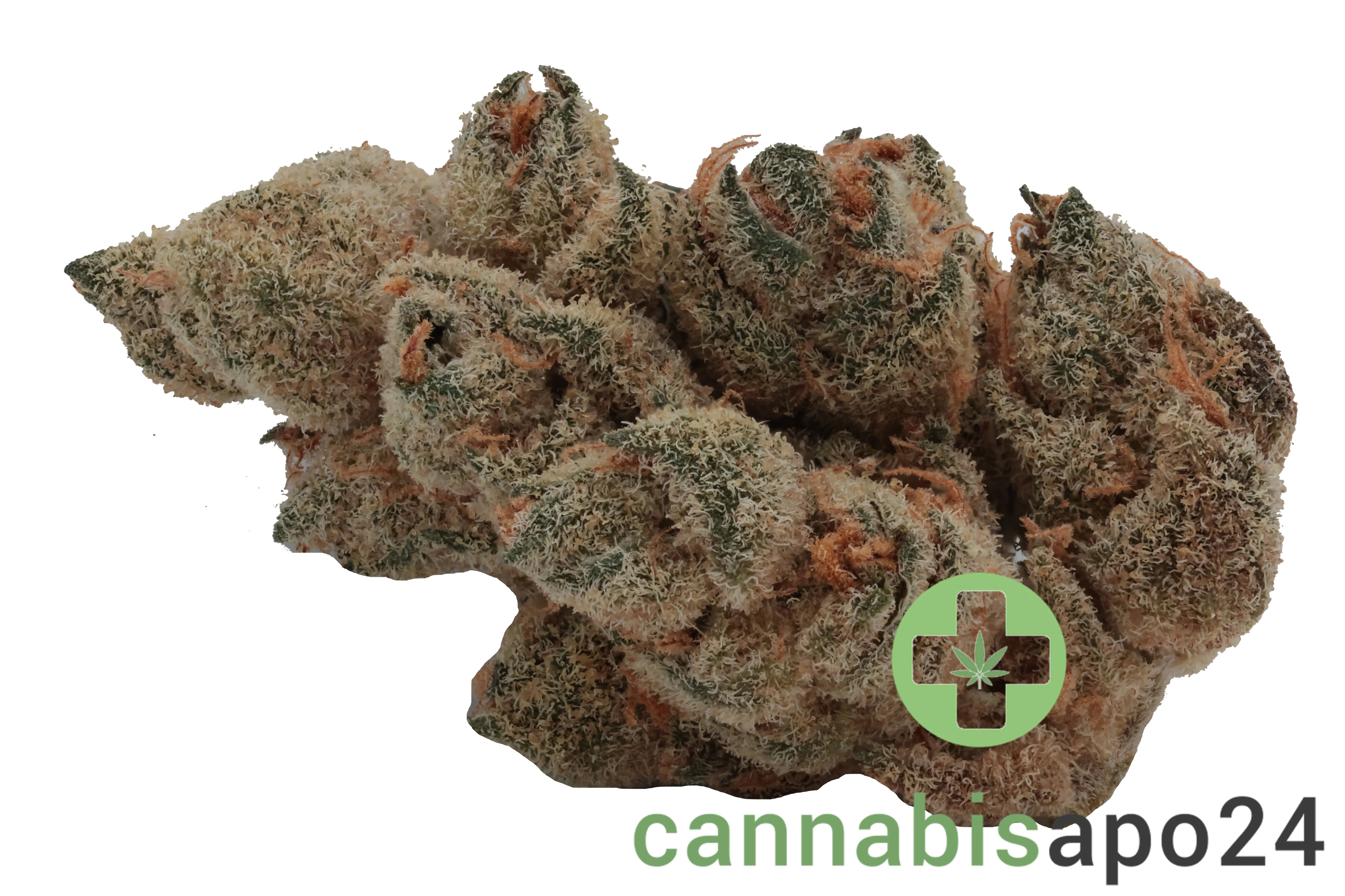 Nedcann JOG 23/01 Joker OG #3