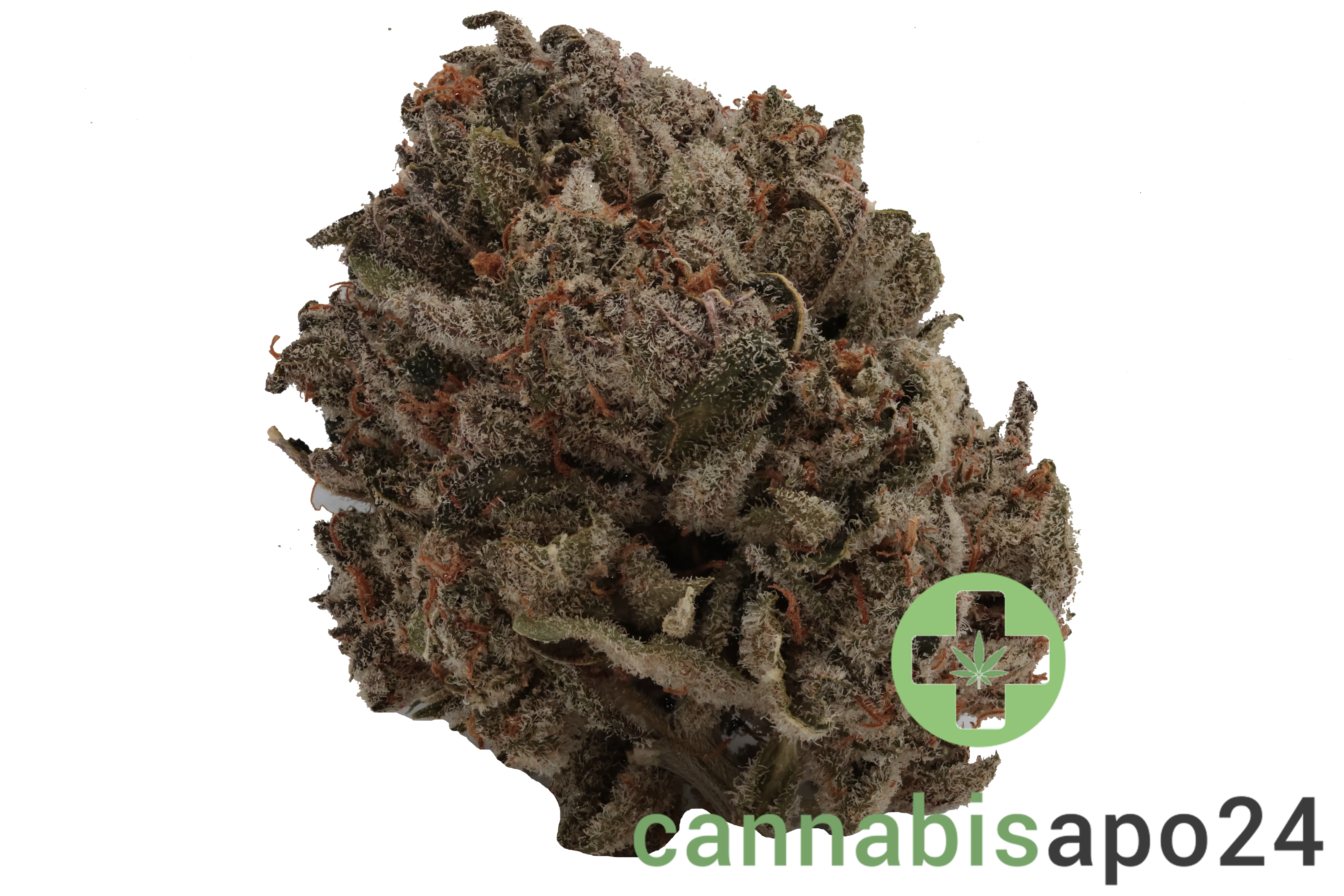 Nimbus Easy 20/1 Gelato