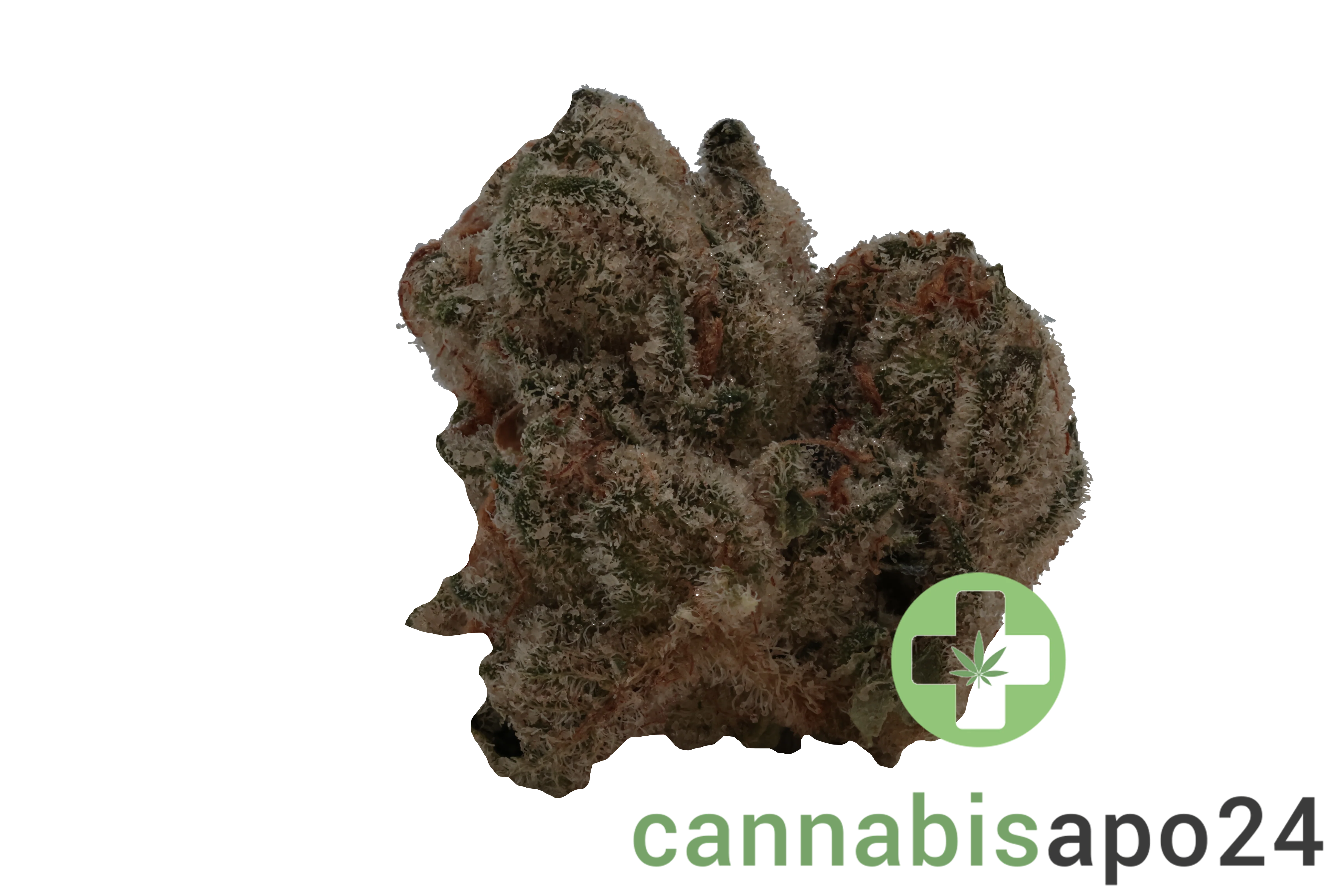 Nimbus easy 22/1 French Cookies