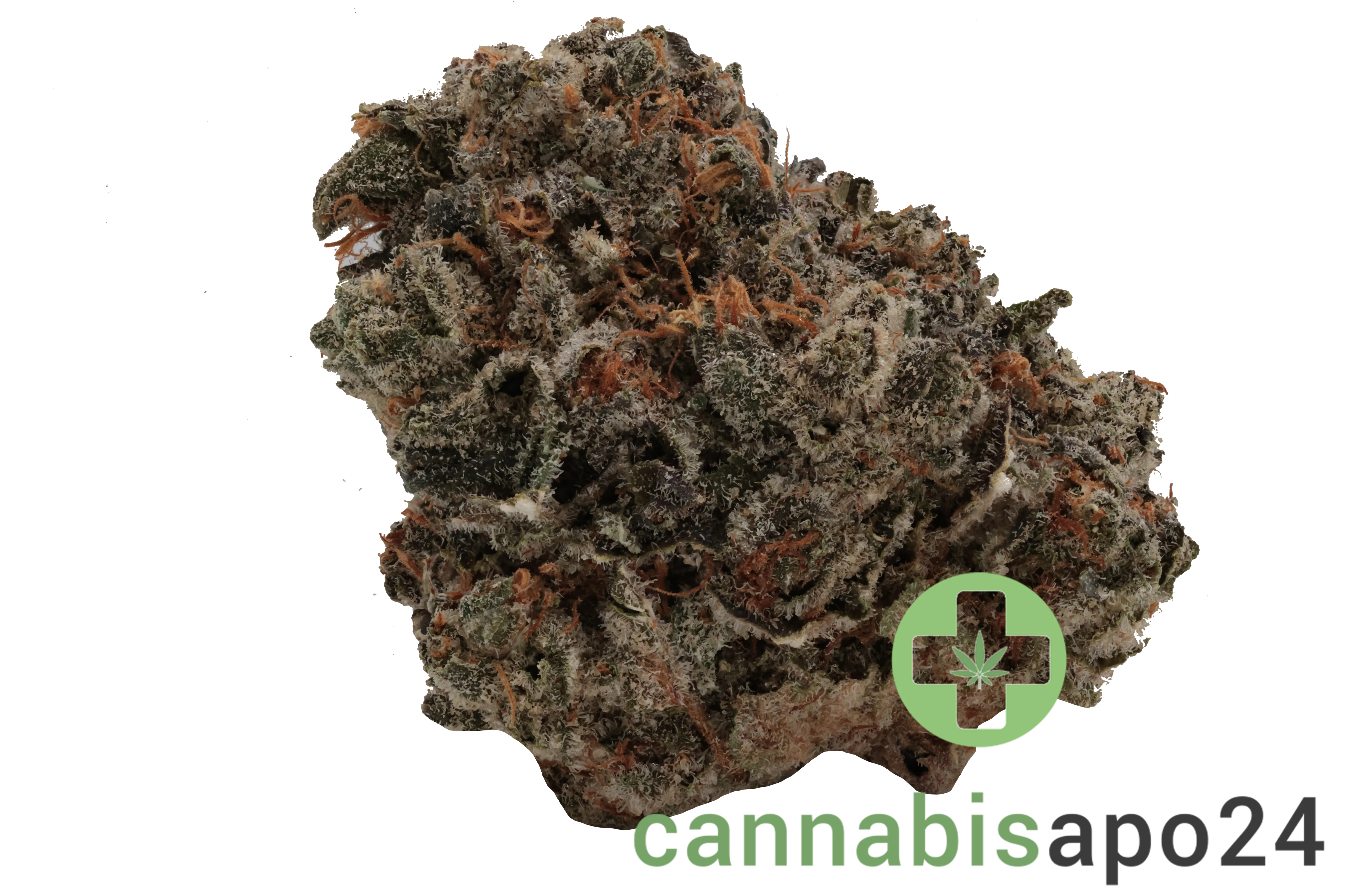 Nimbus Easy 22/1 Gelato