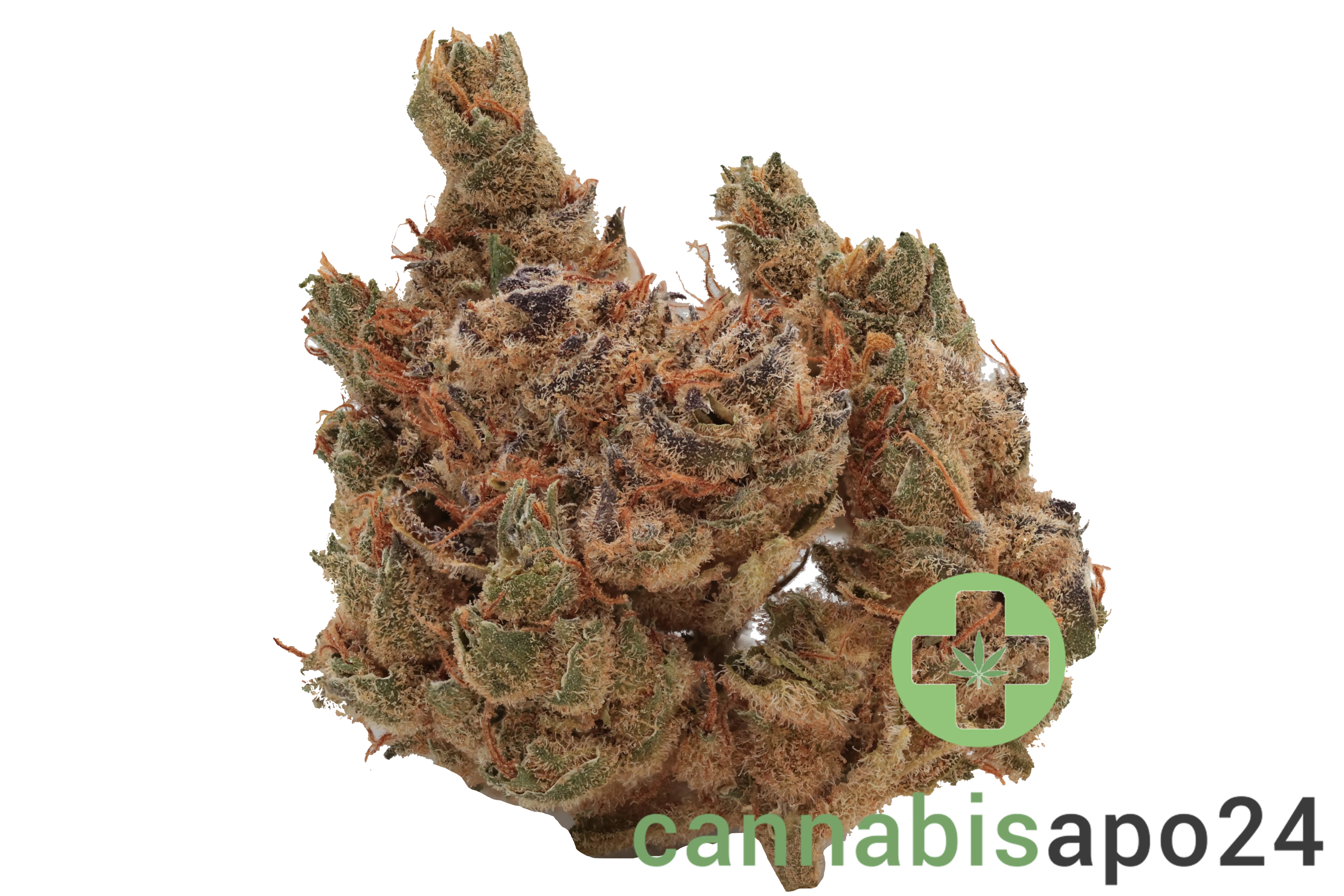 Nimbus easy 24/1 - La Sage