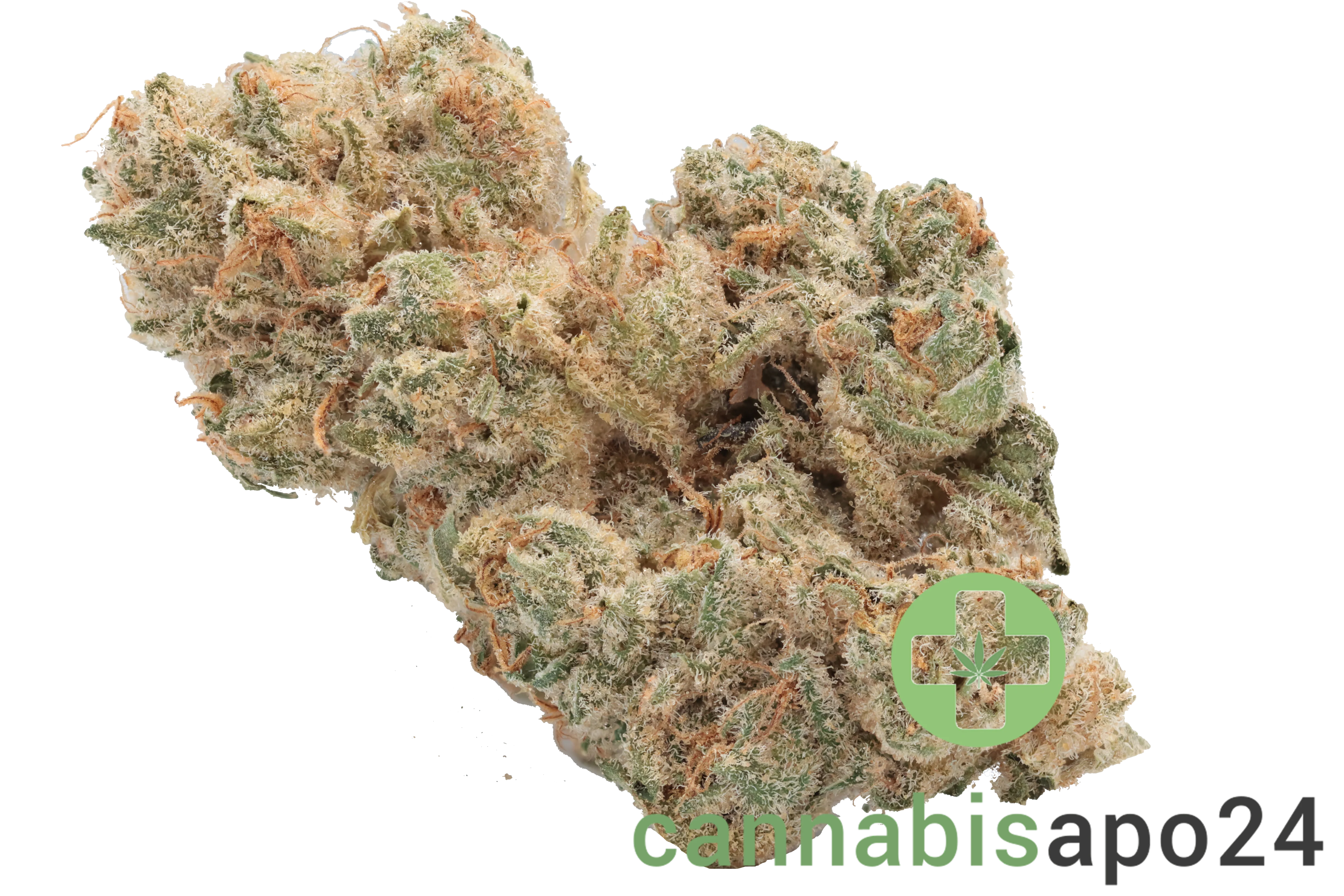 Nimbus easy 24/1 - French Cookies