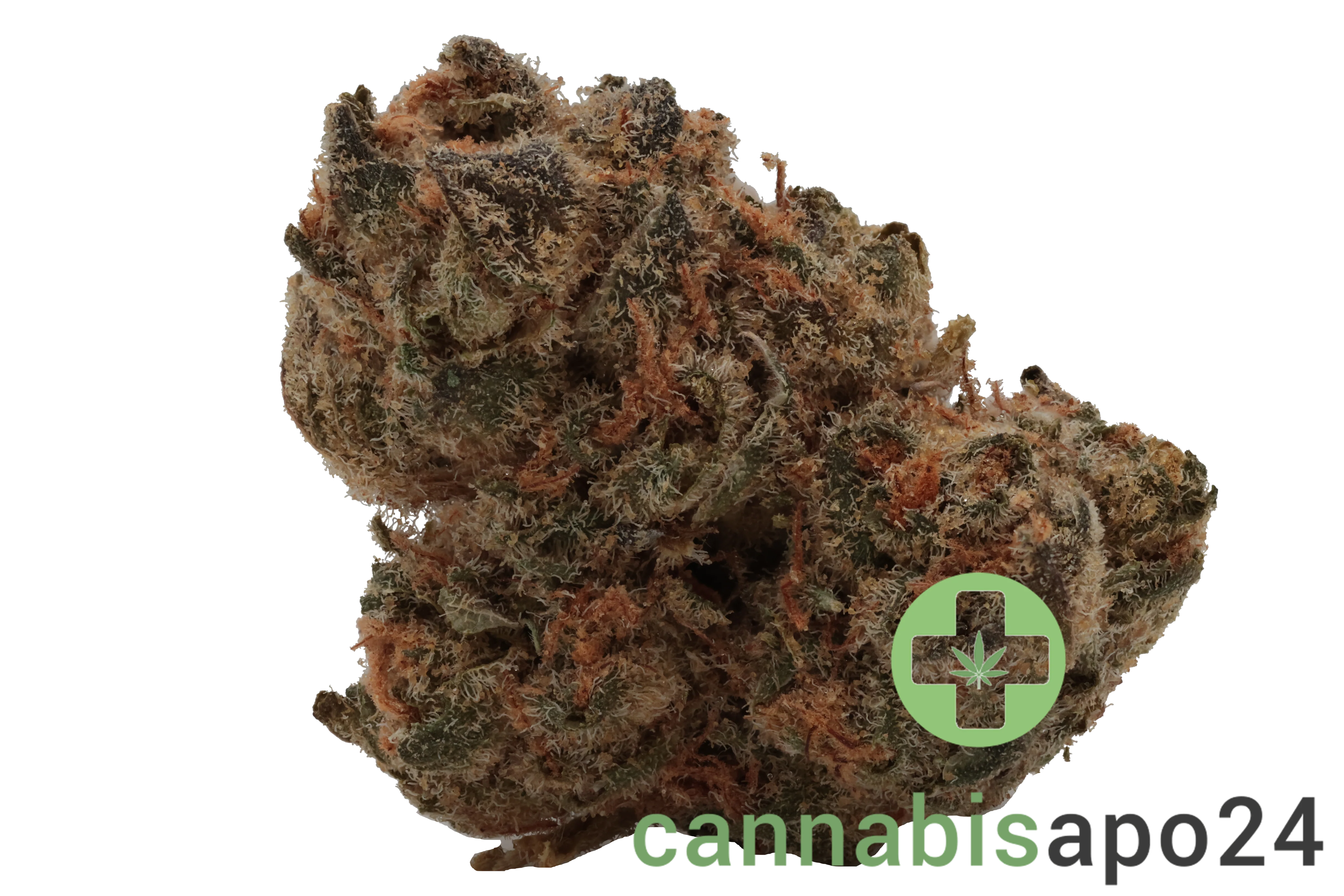 Nimbus easy 26/1 - French Cookies
