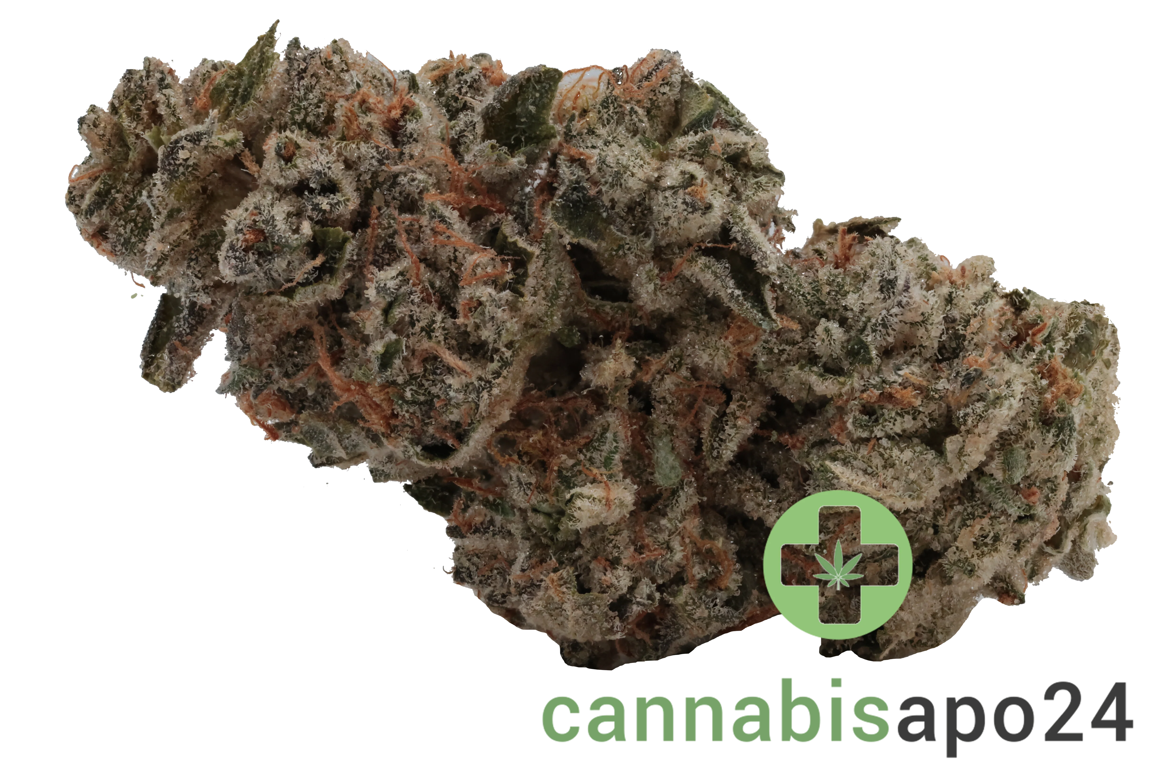 Nimbus easy 30/1 - French Cookies