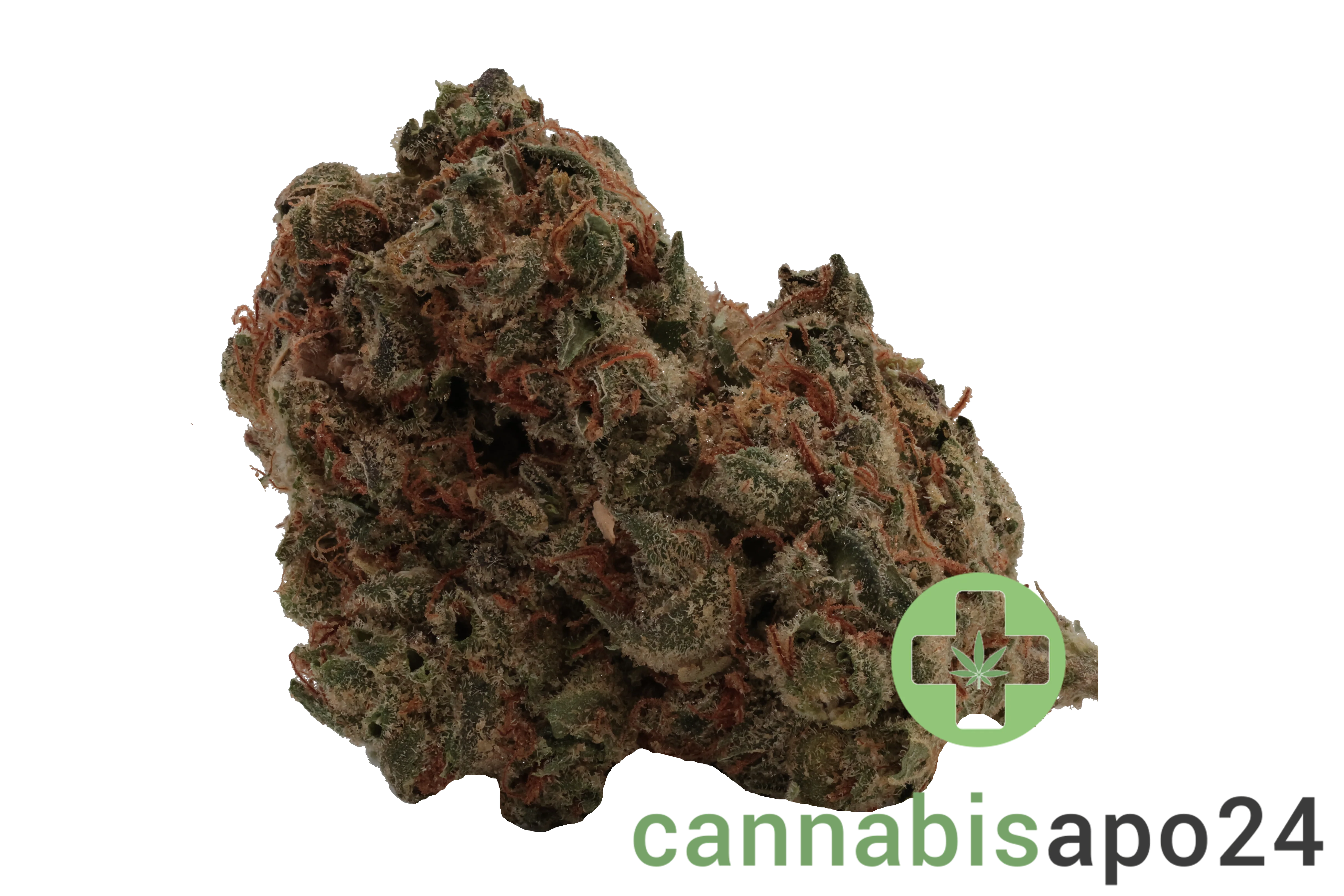 Nimbus easy 30/1 - La Sage