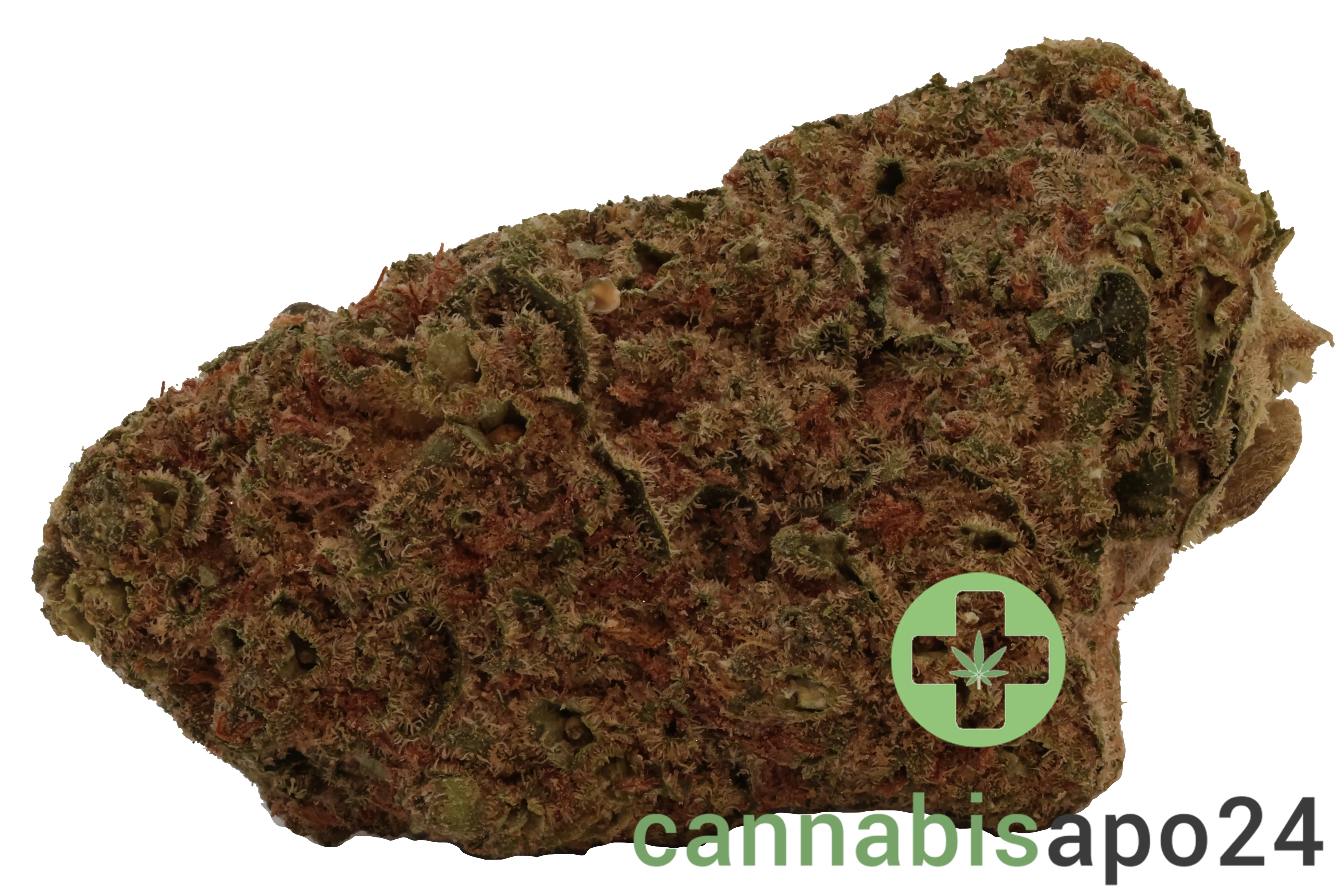 NOC AS 18 Amnesia Kush x Sherbert Sockher