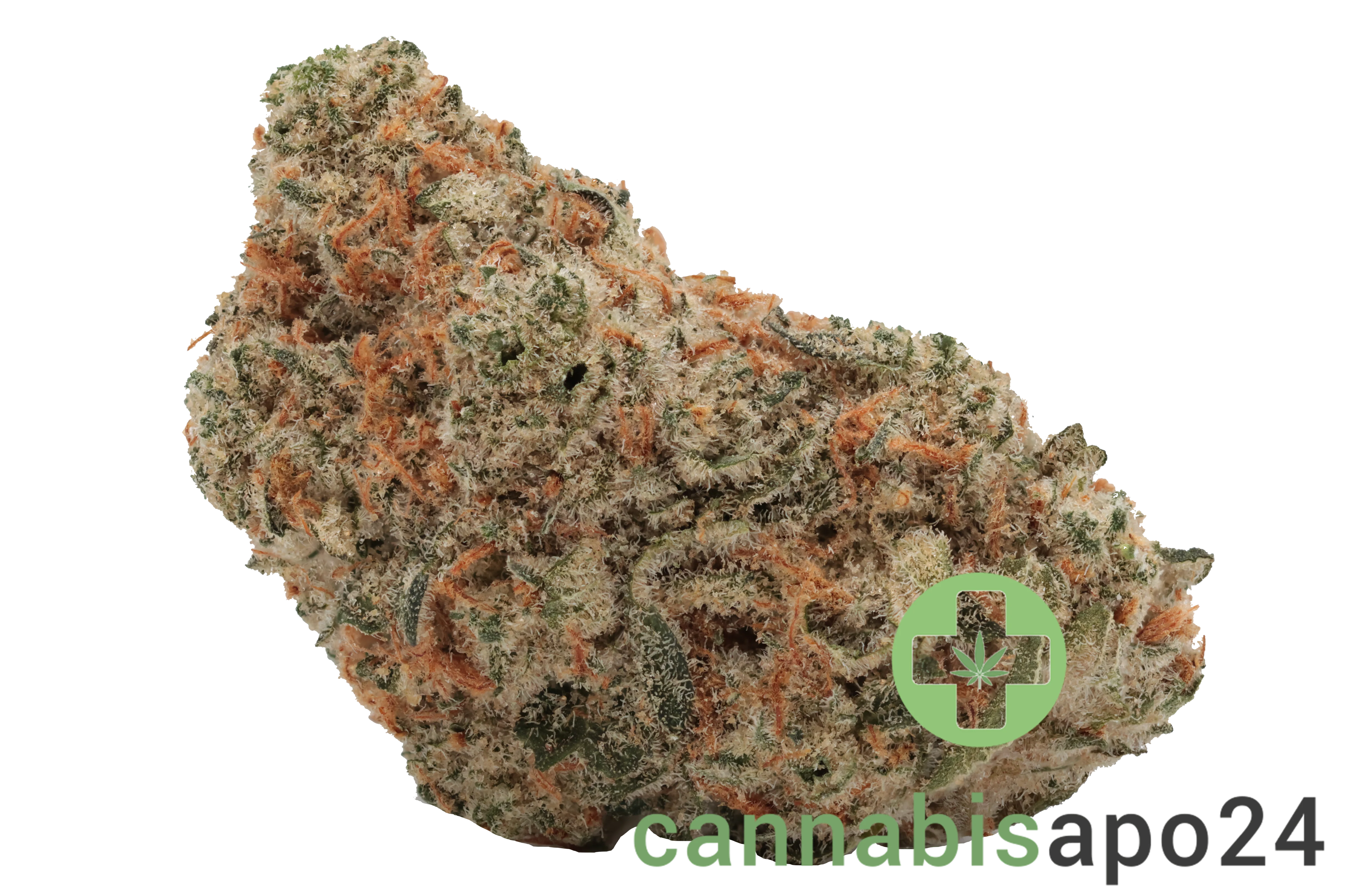 Oceanic BC