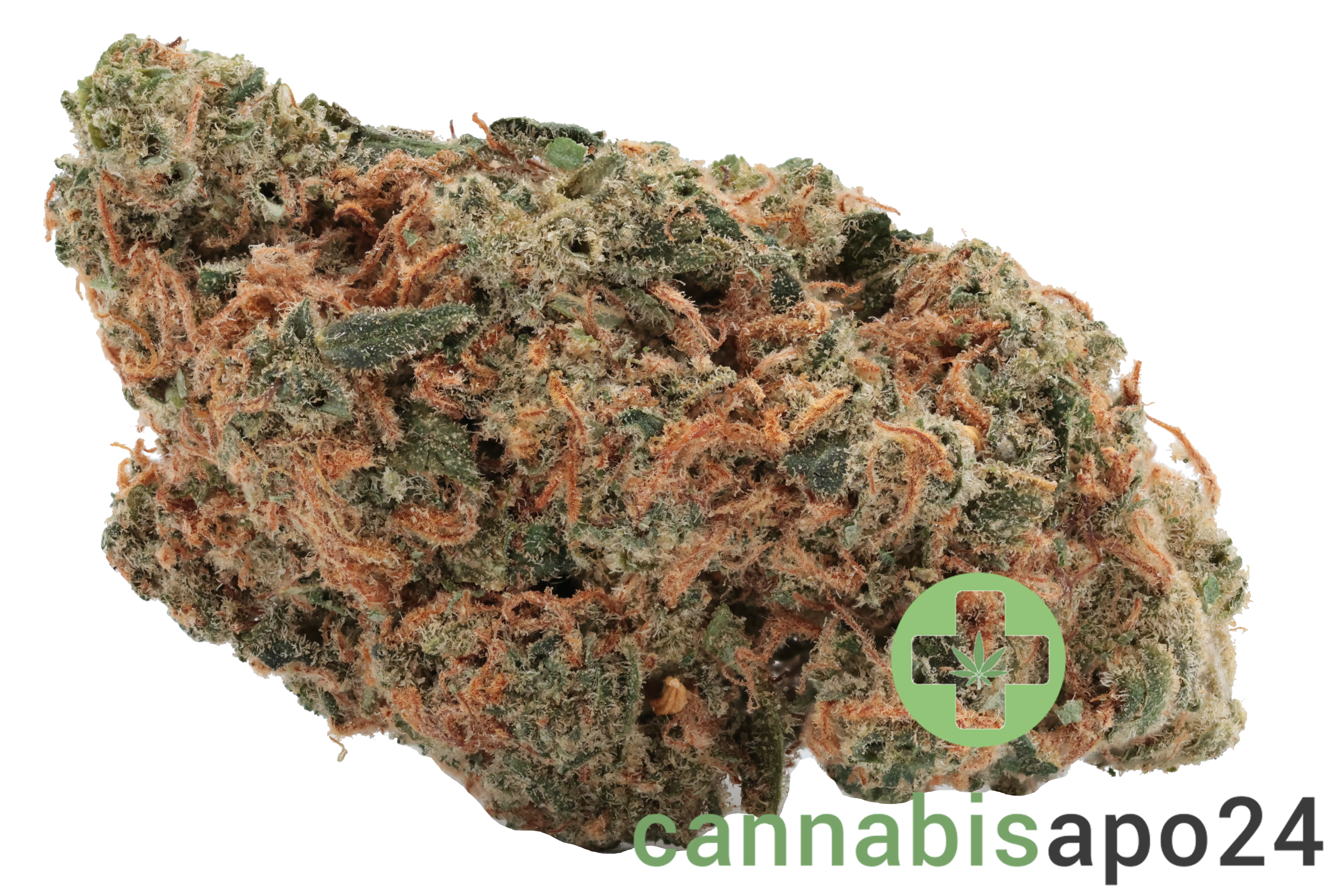 Origine Nature Chem 25/1