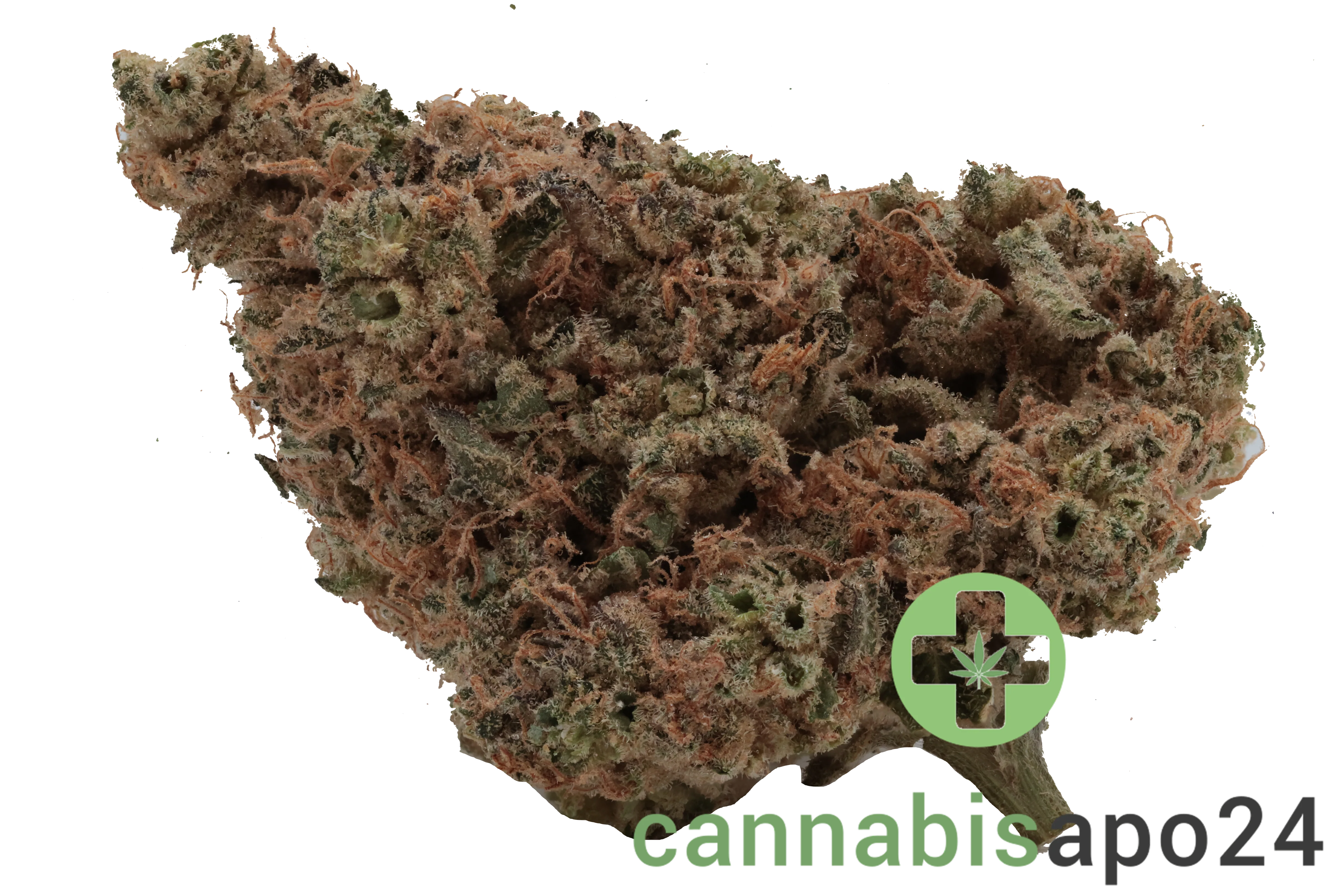 Origine Nature Med 30/1 Medellin