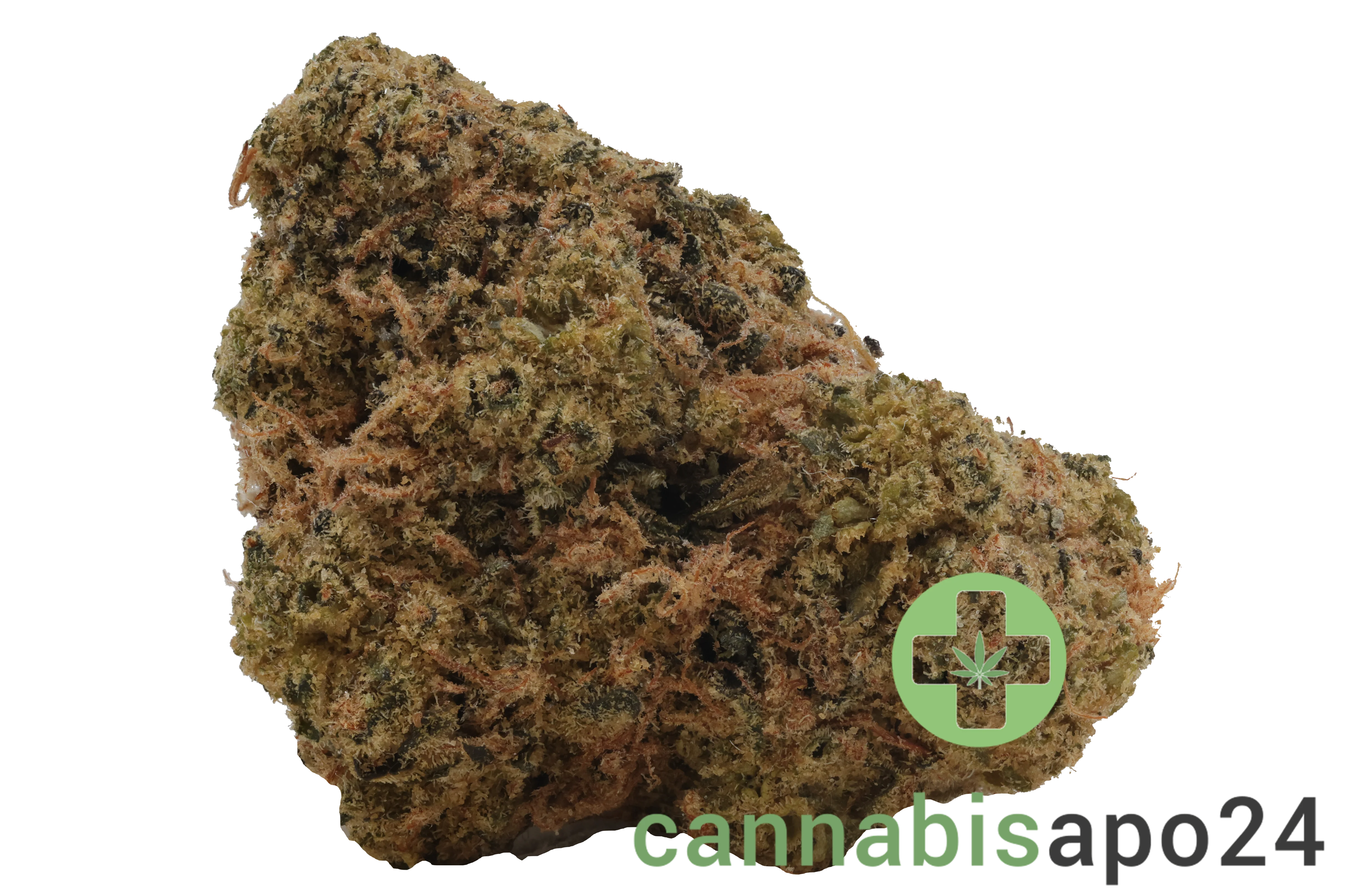 Origine Nature Med 32/1 Medellin