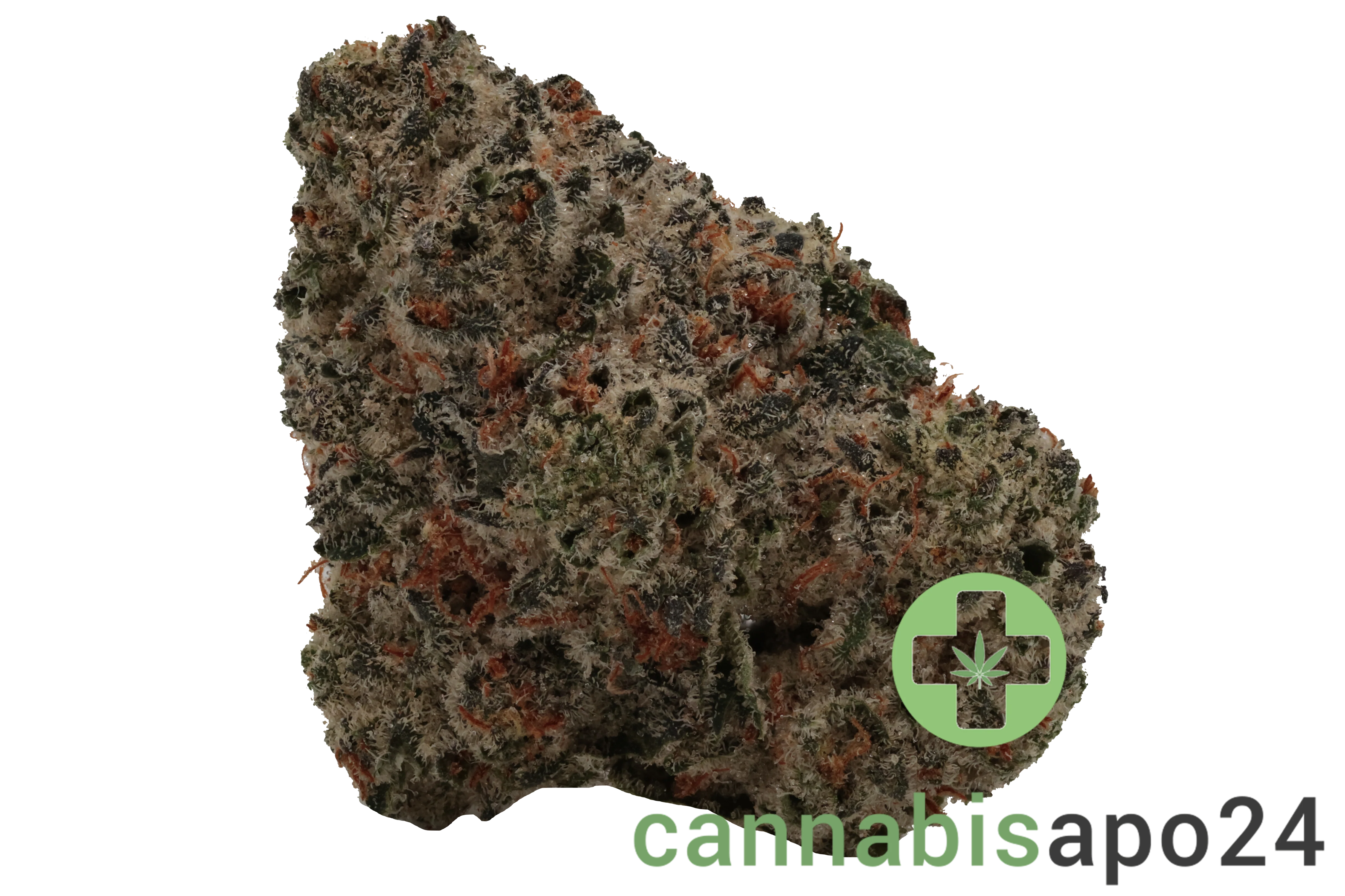 Pedanios 28/1 CMK-CA Chemango Kush